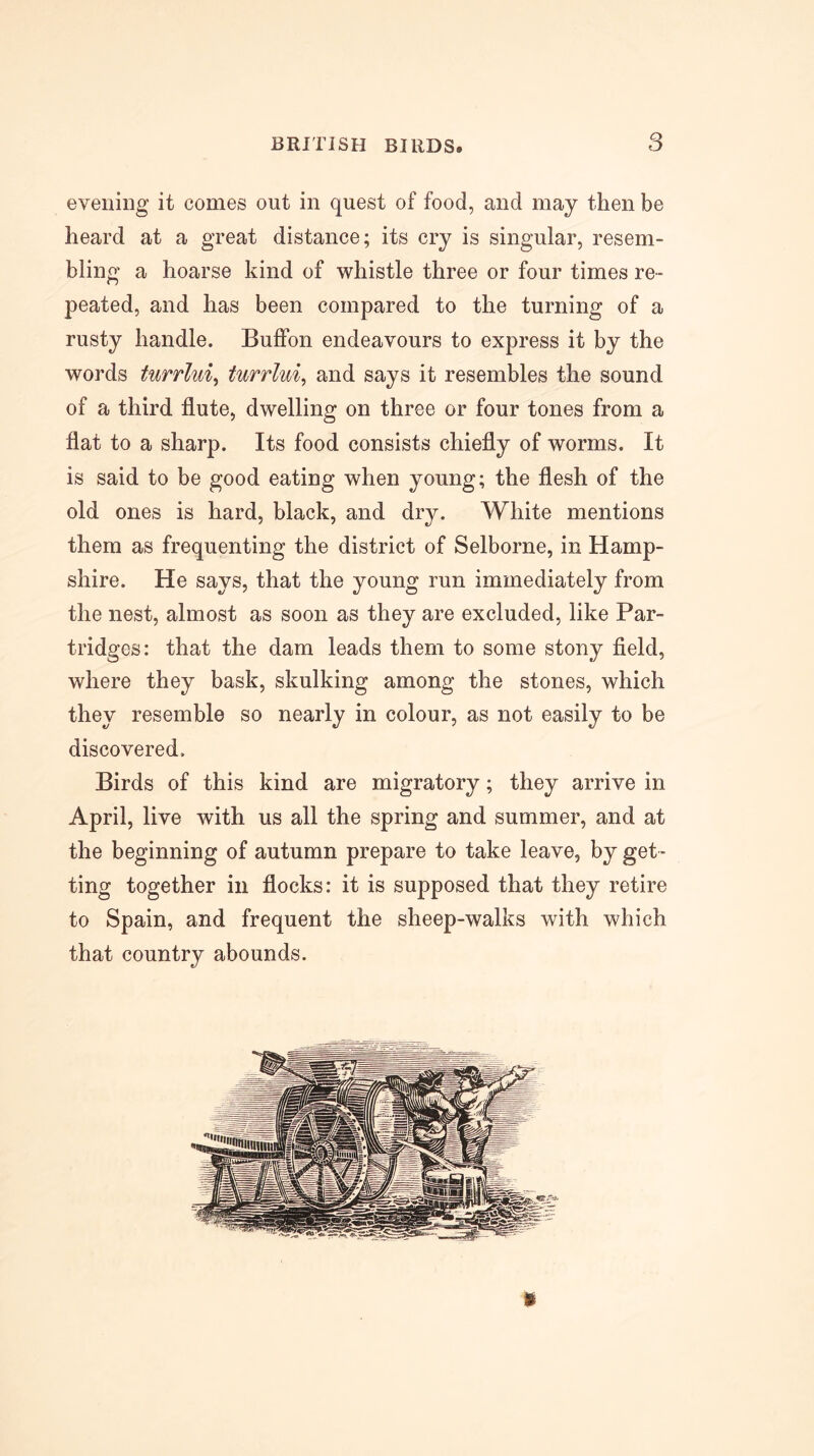 evening it comes out in quest of food, and may then be heard at a great distance; its cry is singular, resem- bling a hoarse kind of whistle three or four times re- peated, and has been compared to the turning of a rusty handle. Buffon endeavours to express it by the words turrlu% turrlui, and says it resembles the sound of a third flute, dwelling on three or four tones from a flat to a sharp. Its food consists chiefly of worms. It is said to be good eating when young; the flesh of the old ones is hard, black, and dry. White mentions them as frequenting the district of Selborne, in Hamp- shire. He says, that the young run immediately from the nest, almost as soon as they are excluded, like Par- tridges: that the dam leads them to some stony field, where they bask, skulking among the stones, which they resemble so nearly in colour, as not easily to be discovered. Birds of this kind are migratory; they arrive in April, live with us all the spring and summer, and at the beginning of autumn prepare to take leave, by get - ting together in flocks: it is supposed that they retire to Spain, and frequent the sheep-walks with which that country abounds. i