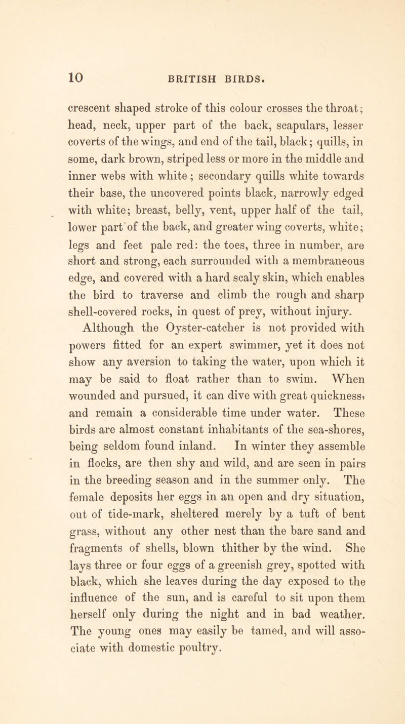 crescent shaped stroke of this colour crosses the throat; head, neck, upper part of the back, scapulars, lesser coverts of the wings, and end of the tail, black; quills, in some, dark brown, striped less or more in the middle and inner webs with white; secondary quills white towards their base, the uncovered points black, narrowly edged with white; breast, belly, vent, upper half of the tail, lower part'of the back, and greater wing coverts, white; legs and feet pale red: the toes, three in number, are short and strong, each surrounded with a membraneous edge, and covered with a hard scaly skin, which enables the bird to traverse and climb the rough and sharp shell-covered rocks, in quest of prey, without injury. Although the Oyster-catcher is not provided with powers fitted for an expert swimmer, yet it does not show any aversion to taking the water, upon which it may be said to float rather than to swim. When wounded and pursued, it can dive with great quickness^ and remain a considerable time under water. These birds are almost constant inhabitants of the sea-shores, being seldom found inland. In winter they assemble in flocks, are then shy and wild, and are seen in pairs in the breeding season and in the summer only. The female deposits her eggs in an open and dry situation, out of tide-mark, sheltered merely by a tuft of bent grass, without any other nest than the bare sand and fragments of shells, blown thither by the wind. She lays three or four eggs of a greenish grey, spotted with black, which she leaves during the day exposed to the influence of the sun, and is careful to sit upon them herself only during the night and in bad weather. The young ones may easily be tamed, and will asso- ciate with domestic poultry.