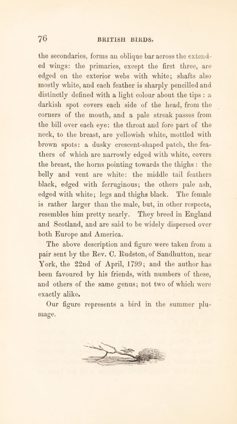 the secondaries, forms an oblique bar across the extend- ed wings: the primaries, except the first three, are edged on the exterior webs with white; shafts also mostly white, and each feather is sharply pencilled and distinctly defined wdth a light colour about the tips : a darkish spot covers each side of the head, from the corners of the mouth, and a pale streak passes from the bill over each eye: the throat and fore part of the neck, to the breast, are yellowish white, mottled with brown spots: a dusky crescent-shaped patch, the fea- thers of which are narrowly edged with white, covers the breast, the horns pointing towards the thighs : the belly and vent are white: the middle tail feathers black, edged with ferruginous; the others pale ash, edged with white; legs and thighs black. The female is rather larger than the male, but, in other respects, resembles him pretty nearly. They breed in England and Scotland, and are said to be widely dispersed over both Europe and America. The above description and figure were taken from a pair sent by the Rev. 0. Rudston, of Sandhutton, near York, the 22nd of April, 1799; and the author has been favoured by his friends, with numbers of these, and others of the same genus; not two of which were exactly alike. Our figure represents a bird in the summer plu- mage.