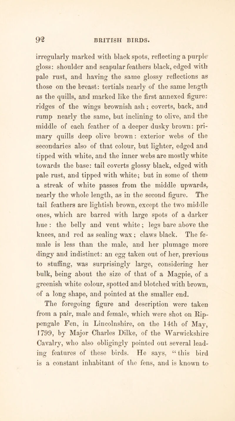 irregularly marked with black spots, reflecting a purple* gloss: shoulder and scapular feathers black, edged with pale rust, and having the same glossy reflections as those on the breast: tertials nearly of the same length as the quills, and marked like the first annexed figure: ridges of the wings brownish ash; coverts, back, and rump nearly the same, but inclining to olive, and the middle of each feather of a deeper dusky brown: pri- mary quills deep olive brown: exterior webs of the secondaries also of that colour, but lighter, edged and tipped with white, and the inner webs are mostly white towards the base: tail coverts glossy black, edged with pale rust, and tipped with white; but in some of them a streak of white passes from the middle upwards, nearly the whole length, as in the second figure. The tail feathers are lightish brown, except the two middle ones, which are barred with large spots of a darker hue : the belly and vent white; legs bare above the knees, and red as sealing wax ; claws black. The fe- male is less than the male, and her plumage more dingy and indistinct: an egg taken out of her, previous to stuffing, was surprisingly large, considering her bulk, being about the size of that of a Magpie, of a greenish white colour, spotted and blotched with brown, of a long shape, and pointed at the smaller end. The foregoing figure and description were taken from a pair, male and female, which were shot on Eip- pengale Fen, in Lincolnshire, on the 14th of May, 1799, by Major Charles Dilke, of the Warwickshire Cavalry, who also obligingly pointed out several lead- ing features of these birds. He says, “ this bird is a constant inhabitant of the fens, and is known te