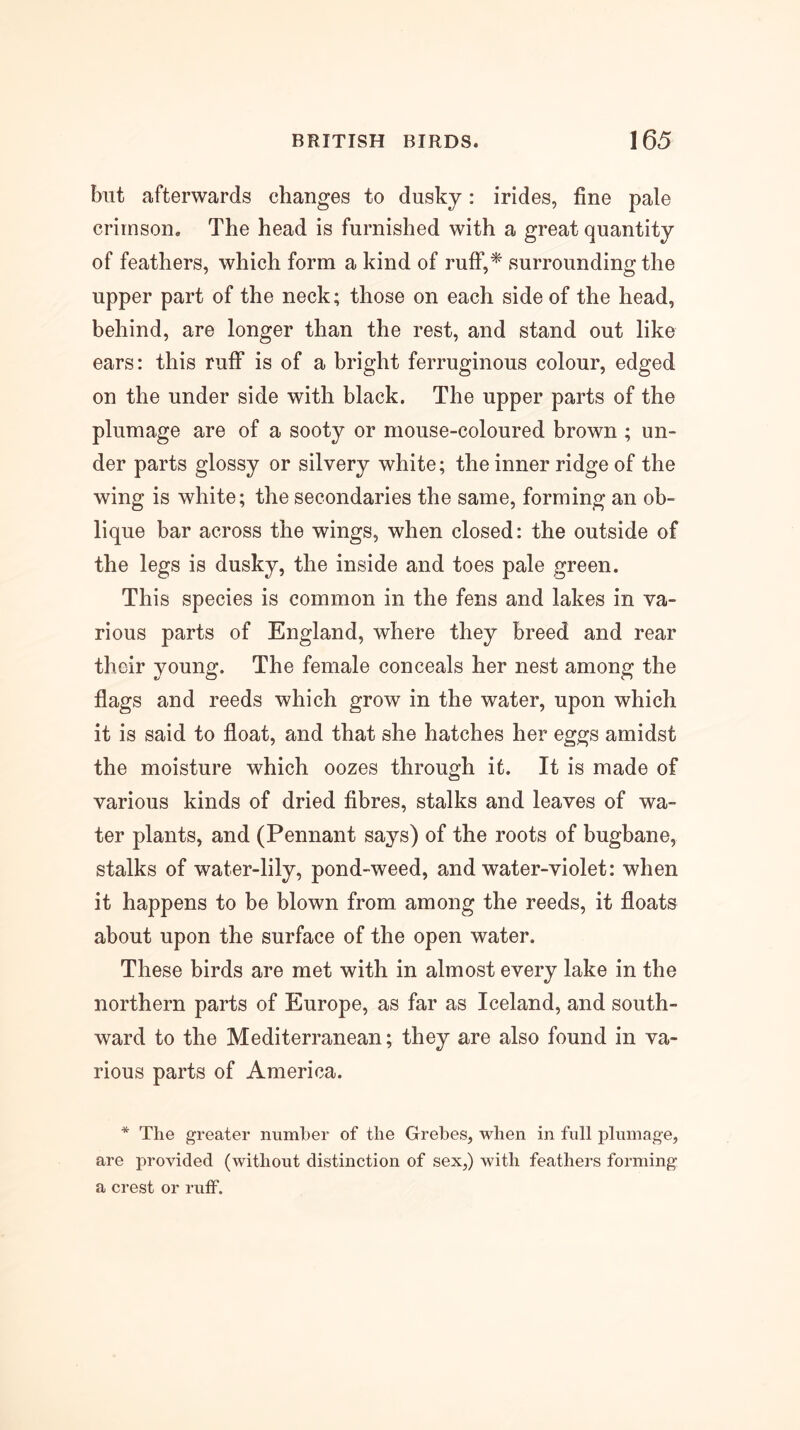 but afterwards changes to dusky: irides, fine pale crimson. The head is furnished with a great quantity of feathers, which form a kind of rufF,^ surrounding the upper part of the neck; those on each side of the head, behind, are longer than the rest, and stand out like ears; this rufF is of a bright ferruginous colour, edged on the under side with black. The upper parts of the plumage are of a sooty or mouse-coloured brown ; un- der parts glossy or silvery white; the inner ridge of the wing is white; the secondaries the same, forming an ob- lique bar across the wings, when closed: the outside of the legs is dusky, the inside and toes pale green. This species is common in the fens and lakes in va- rious parts of England, where they breed and rear their young. The female conceals her nest among the flags and reeds which grow in the water, upon which it is said to float, and that she hatches her eggs amidst the moisture which oozes through it. It is made of various kinds of dried fibres, stalks and leaves of wa- ter plants, and (Pennant says) of the roots of bugbane, stalks of water-lily, pond-weed, and water-violet: when it happens to be blown from among the reeds, it floats about upon the surface of the open water. These birds are met with in almost every lake in the northern parts of Europe, as far as Iceland, and south- ward to the Mediterranean; they are also found in va- rious parts of America. * The greater number of the Grebes, when in full plumage, are provided (without distinction of sex,) with feathers forming a crest or ruff.