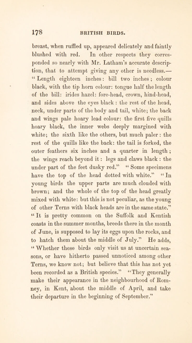 breast, when ruffled up, appeared delicately and faintly blushed with red. In other respects they corres- ponded so nearly with Mr. Latham’s accurate descrip- tion, that to attempt giving any other is needless.— “ Length eighteen inches: bill two inches; colour black, with the tip horn colour: tongue half the length of the bill: irides hazel: fore-head, crown, hind-head, and sides above the eyes black : the rest of the head, neck, under parts of the body and tail, white; the back and wings pale hoary lead colour: the first five quills hoary black, the inner webs deeply margined with white; the sixth like the others, but much paler : the rest of the quills like the back: the tail is forked, the outer feathers six inches and a quarter in length; the wings reach beyond it: legs and claws black : the under part of the feet dusky red.” “ Some specimens have the top of the head dotted with white.” “ In young birds the upper parts are much clouded with brown; and the whole of the top of the head greatly mixed with white: but this is not peculiar, as the young of other Terns with black heads are in the same state.” “ It is pretty common on the Suffolk and Kentish coasts in the summer months, breeds there in the month of June, is supposed to lay its eggs upon the rocks, and to hatch them about the middle of July.” He adds, “ Whether these birds only visit us at uncertain sea- sons, or have hitherto passed unnoticed among other Terns, we know not; but believe that this has not yet been recorded as a British species.” “They generally make their appearance in the neighbourhood of Rom- ney, in Kent, about the middle of April, and take their departure in the beginning of September.”