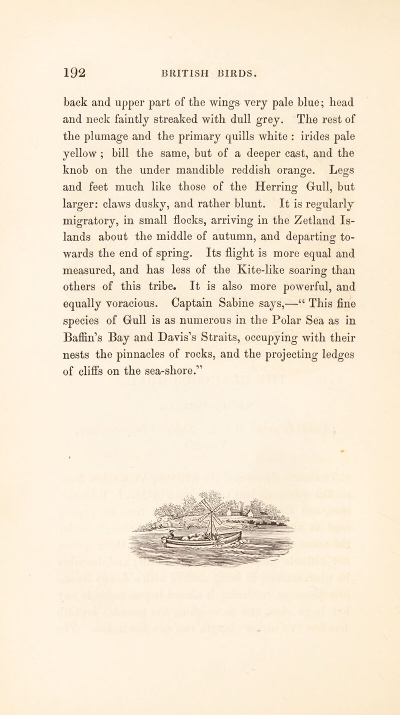back and upper part of the wings very pale blue; head and neck faintly streaked with dull grey. The rest of the plumage and the primary quills white : irides pale yellow ; bill the same, but of a deeper cast, and the knob on the under mandible reddish orano’e. Legs and feet much like those of the Herring Gull, but larger: claws dusky, and rather blunt. It is regularly migratory, in small flocks, arriving in the Zetland Is- lands about the middle of autumn, and departing to- wards the end of spring. Its flight is more equal and measured, and has less of the Kite-like soaring than others of this tribe. It is also more powerful, and equally voracious. Captain Sabine says,—“ This fine species of Gull is as numerous in the Polar Sea as in Baffin’s Bay and Davis’s Straits, occupying with their nests the pinnacles of rocks, and the projecting ledges of cliffs on the sea-shore.”