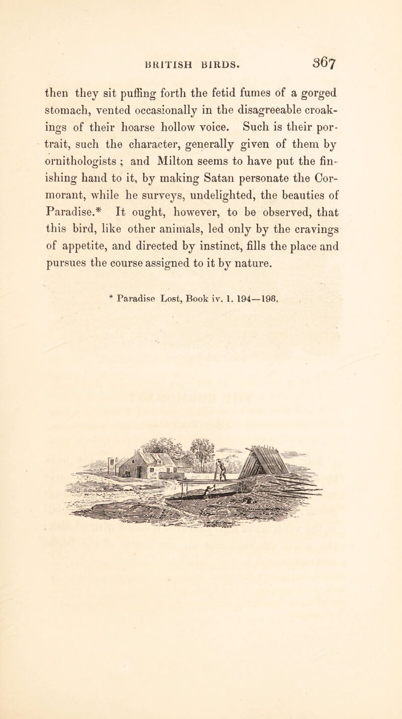 then they sit puffing forth the fetid fumes of a gorged stomach, vented occasionally in the disagreeable croak- ings of their hoarse hollow voice. Such is their por- trait, such the character, generally given of them by ornithologists ; and Milton seems to have put the fin- ishing hand to it, by making Satan personate the Cor- morant, while he surveys, undelighted, the beauties of Paradise.^ It ought, however, to be observed, that this bird, like other animals, led only by the cravings of appetite, and directed by instinct, fills the place and pursues the course assigned to it by nature. ^ Paradise Lost, Book iv. 1. 194—198.