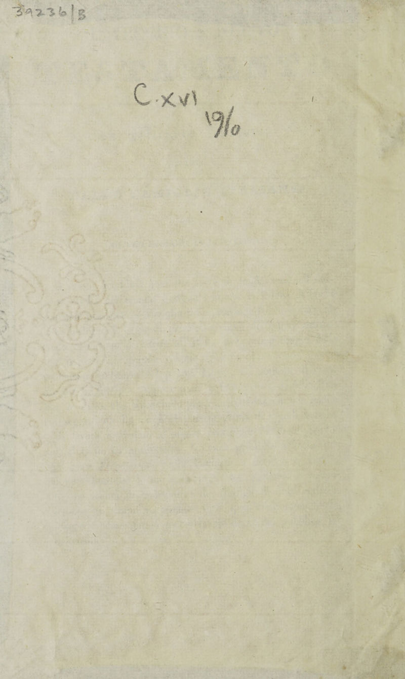 / 5* • *1 ! t > .> It