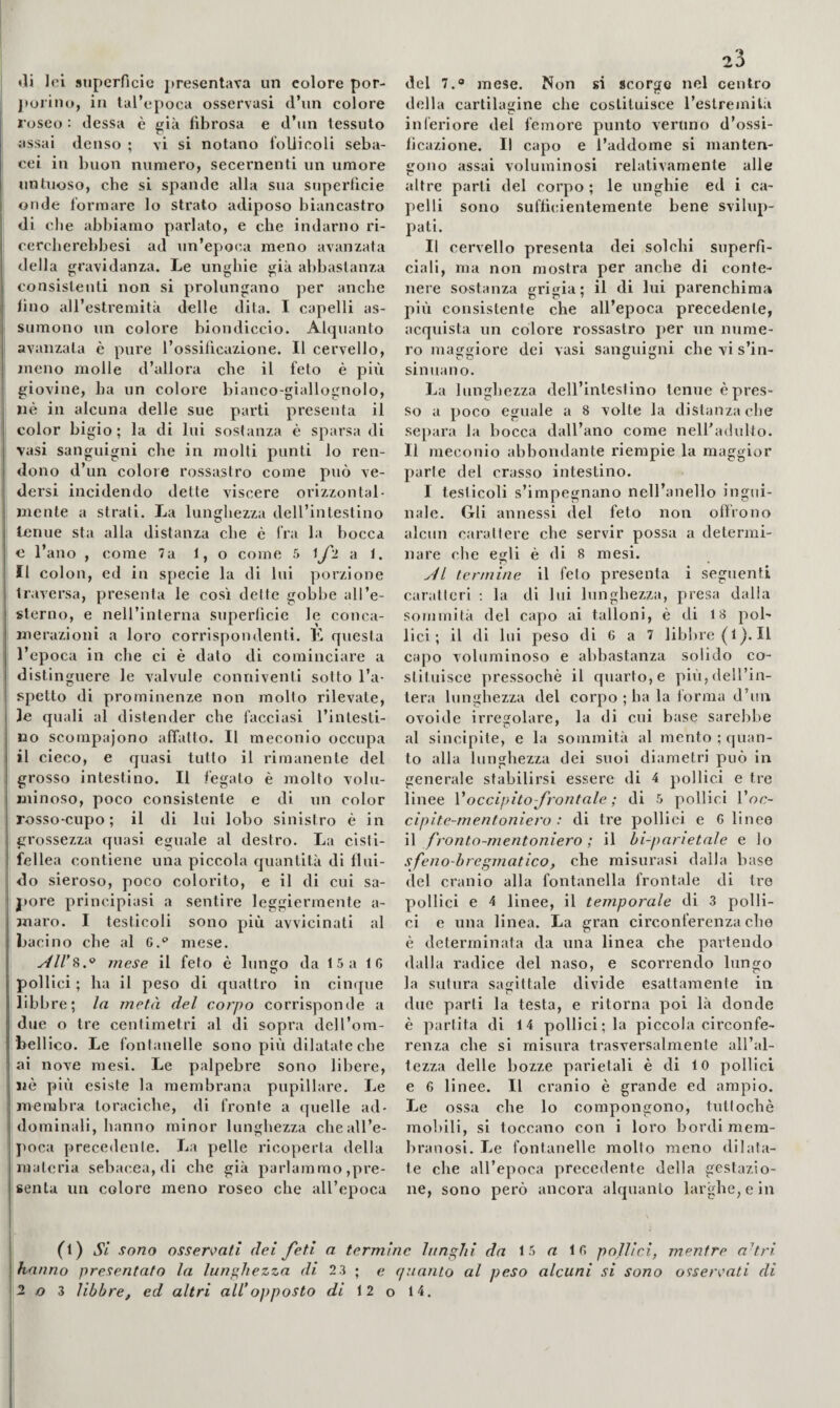 *li lei superficie presentava un colore por¬ porino, in tal’opoca osservasi (l’un colore roseo : (lessa è già fibrosa e d’un tessuto assai denso ; vi si notano follicoli seba¬ cei in buon numero, secernenti un umore untuoso, ebe si spande alla sua superficie onde formare lo strato adiposo biancastro di die abbiamo parlato, e che indarno ri- cereberebbesi ad un’epoca meno avanzata della gravidanza. Le unghie già abbastanza consistenti non si prolungano per anche fino all’estremità delle dita. I capelli as¬ sumono un colore biondiccio. Alquanto avanzata è pure l’ossificazione. Il cervello, meno molle d’allora che il feto è più giovine, ha un colore bianco-giallognolo, nè in alcuna delle sue parti presenta il color bigio ; la di lui sostanza è sparsa di vasi sanguigni che in molti punti lo ren¬ dono d’un colore rossastro come può ve¬ dersi incidendo dette viscere orizzontal¬ mente a strati. La lunghezza dell’intestino tenue sta alla distanza che è fra la bocca e l’ano , come 7a 1, o come 5 ^f‘i 'a 1. Il colon, ed in specie la di lui porzione ti'iiversa, presenta le cosi delte gobbe all’e¬ sterno, e nell’interna superficie le conca- merazioui a loro corrispondenti. E questa l’epoca in che ci è dato di cominciare a distinguere le valvule conniventi sotto l’a¬ spetto di prominenze non molto rilevate, le quali al distender che facciasi l’intesti¬ no scompaiono affatto. Il meconio occupa il cieco, e quasi tutto il rimanente del grosso intestino. Il fegato è molto volu¬ minoso, poco consistente e di un color rosso-cupo; il di lui lobo sinistro è in grossezza quasi eguale al destro. La cisti¬ fellea contiene una piccola quantità di flui¬ do sieroso, poco colorito, e il di cui sa¬ pore principiasi a sentire leggiermente a- maro. I testicoli sono più avvicinati al bacino che al C.*’ mese, mese il feto è lungo da 15 a IG pollici ; ha il peso di (quattro in cinque libbre; la metà del corpo corrisponde a due o tre centimetri al di sopra dcU’om- Lellico. Le fontanelle sono più dilatate che ai nove mesi. Le palpebre sono libere, nè più esiste la membrana pupillare. Le membra toraciche, di fronte a (pielle ad¬ dominali, hanno minor lunghezza cheall’e- j>oca precedente. La pelle ricoperta della materia sebacea, di che già parlammo ,pre¬ senta un colore meno roseo che all’epoca 23 del 7. mese. Non si scorge nel centro della cartilagine che costituisce l’estremila inièriore del femore punto veruno d’ossi¬ ficazione. Il capo e l’addome si manten¬ gono assai voluminosi relativamente alle altre parti del corpo ; le unghie ed i ca¬ pelli sono sufficientemente bene svilup¬ pati. Il cervello presenta dei solchi superfi¬ ciali, ma non mostra per anche di conte¬ nere sostanza grigia; il di lui parenchima più consistente che all’epoca precedente, acquista un colore rossastro per un nume¬ ro maggiore dei vasi sanguigni che vi s’in¬ sinuano. La lunghezza dell’intestino tenue è pres¬ so a poco eguale a 8 volte la distanza che separa la bocca dall’ano come nell'adulto. Il meconio abbondante riempie la maggior parie del crasso intestino. I testicoli s’impegnano nell’anello ingui¬ nale, Gli annessi del feto non offrono alcun carattere che servir possa a determi¬ nare che egli è di 8 mesi. Jl termine il feto presenta i seguenti caratteri ; la di lui lunghezza, presa dalia sommità del capo ai talloni, è di 18 pol¬ lici; il di lui peso di 6 a 7 libine (l ). Il capo voluminoso e abbastanza solido co¬ stituisce pressoché il quarto, e piùjdeU’in- tera lunghezza del corpo ; ha la forma d’un ovoide irregolare, la di cui base sarebbe al sincipite, e la sommità al mento ; quan¬ to alla lunghezza dei suoi diametri può in generale stabilirsi essere di 4 pollici e tre linee Voccipito-frontale ; di 5 pollici l’oc- cipìte-mentoniero : di tre pollici e G lineo \\ fronto-mentoniero ; il bi-parietnle e lo sfeno-bregmatico, che misurasi dalla base del cranio alla fontanella frontale di tre pollici e 4 linee, il temporale di 3 polli¬ ci e una linea. La gran circonferenza che è determinata da una linea che partendo dalla radice del naso, e scorrendo lungo la sutura sagittale divide esattamente in due parti la testa, e ritorna poi là donde è partita di 14 pollici; la piccola circonfe¬ renza che si misura trasversalmente all’al- fezza delle bozze parietali è di lo pollici e G linee. Il cranio è grande ed ampio. Le ossa che lo compongono, tuttoché mobili, si toccano con i loro bordi mem¬ branosi. Le fontanelle molto meno dilata¬ te che all’epoca jarecedente della gestazio¬ ne, sono però ancora alquanto largdie, e in (l) Si sono osser<v>ati dei feti a termine lunghi da 15 a IG pollici, mentre adri hanno presentato la lunghezza di 23 ; e quanto al peso alcuni si sono o9sercati di