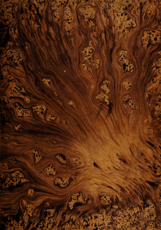 digitised image 1