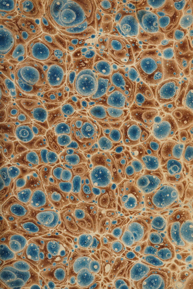 No text description is available for this image