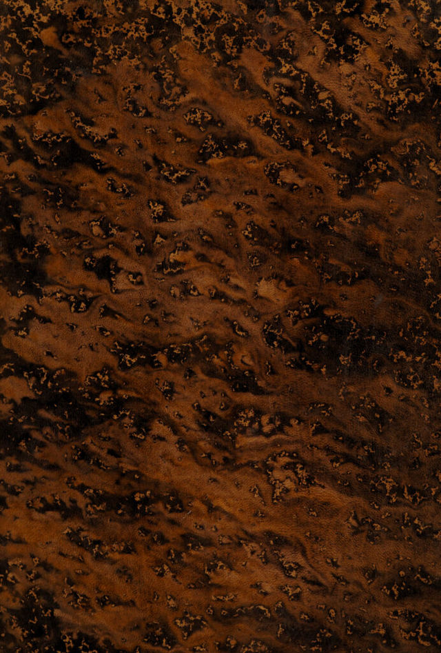 digitised image 1
