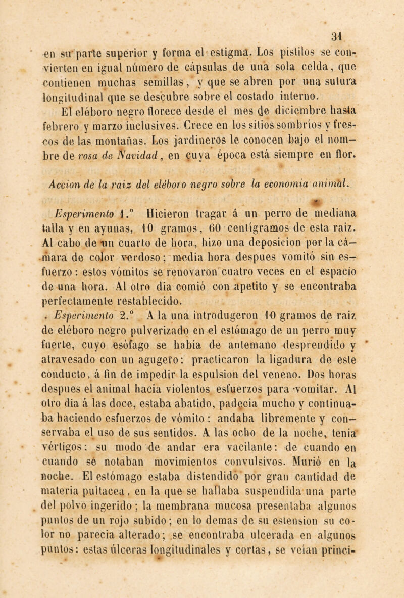 en sir parte superior y forma el estigma. Los pistilos se con¬ vierten en igual número de cápsulas de una sola celda, que contienen muchas semillas, y que se abren por una sutura longitudinal que se descubre sobre el costado interno. El eléboro negro florece desde el mes d© diciembre hasta febrero v marzo inclusives. Crece en los sitios sombríos y fres- eos de las montañas. Los jardineros le conocen bajo el nom¬ bre de rosa de Navidad^ en cuya época está siempre en flor. Acción de la raíz del eléboro negro sobre la economía ani}naL Esperimento l.° Hicieron tragar á un perro de mediana talla y en ayunas, 10 gramos, 60 centigramos de esta raiz. Al cabo de iin cuarto de hora, hizo una deposición porta cá¬ mara de color verdoso; media hora después vomitó sin es¬ fuerzo : estos vómitos se renovaron cuatro veces en el espacio de una hora. Al otro dia comió con apetito y se encontraba perfectamente restablecido. . Esperimento 2.® A la una introdugeron 10 gramos de raíz de eléboro negro pulverizado en el estómago de un perro muy fuerte, cuyo esófago se habia de antemano desprendido y * atravesado con un agugefo: practicaron la ligadura de este conducto, á fin de impedir la espulsion del veneno. Dos horas después el animal hacia violentos esfuerzos para -vomitar. Al otro dia á las doce, estaba abatido, padecia mucho y continua¬ ba haciendo esfuerzos de vómito : andaba libremente y con¬ servaba el uso de sus sentidos. A las ocho de la noche, tenia vértigos: su modo de andar era vacilante: de cuando en cuando sé notaban movimientos convulsivos. Murió en la noche. El estómago estaba distendido por gran cantidad de materia pultácea, en la (jue se hallaba suspendida una parle del polvo ingerido; la membrana mucosa presentaba algunos puntos de un rojo subido; en lo demas de su estension su co¬ lor no parecía alterado; se encontraba ulcerada en algunos puntos: estas úlceras longitudinales y corlas, se veían princi-