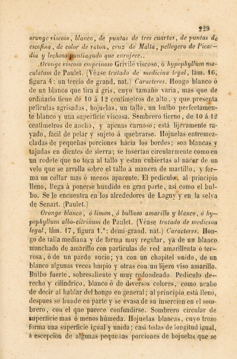 529 orongc viscoso, blanco^ de puntas de (res cuartas^ de puntas de escofina, de color de ratón, cruz de Malla, pellegero de Picar— dia y lechoso puntiagudo que enrojece.. Ürouge viscoso empeinoso Griviló viscoso, ó hypnphyllwn ma- cu/a/w/H de Paulel. (Véase tratado de medicina legal, lám. i6, figura 4: un tercio de grand, nat.) Caracteres, liongo blanco 6 (le un blanco que lira á gris, cuyo lamaño varia, mas que de ordinario tiene de 10 á 12 cenlimetros de alto, y que presenta películas agrisadas, hojuelas, un tallo, un bulbo perfectamen¬ te blanco y una superficie viscosa. Sombrero tierno, de 10 á 12 centímetros de ancho, y apenas carnoso; está lijeramenle ra¬ yado, fácil de pelar y sujeto á quebrarse. Hojuelas entremez¬ cladas de pequeñas porciones liácia los bordes; son blancas y tajadas en dientes de sierra; se insertan circularmenle como en un rodete que no toca al tallo y están cubiertas al nacer de un velo que se arrolla sobre el tallo a manera de martillo, y for¬ ma un collar mas ó menos aparente. El pedículo-, al principio lleno, llega á ponerse hundido en gran parle, asi como el bul¬ bo. Se le encuentra en los alrededores de Lagny y en la selva de Senart. (Paulet.) Oronge blanco, ó limón, ó bulboso amarillo y blanco, ó liy— pophyllum albo-cilrinum de Paulet. (Véase tratado de medicina legal, lám. 17, figura 1.^: demi-grand. nal.) Caracteres. Hon¬ go de talla mediana y de forma muy regular, ya de un blanco, manchado de amarillo con partículas de red amarillenta ó ter¬ rosa, ó de un pardo sucio; ya con un chapitel unido, de un blanco algunas veces limpio y otras con un lijero viso amarillo. Bulbo fuerte, sobresaliente y muy redondeado. Pedículo de¬ recho y cilindrico, blanco ó de diversos colores, como acabo de decir al hablar del hongo en general; al principio está lleno, después se hunde en parte y se evasade su inserción en el sonr- brero, con el que parece confundirse. Sombrero circular de superficie mas ó menos húmeda. Hojuelas blancas, cuyo trozo forma una superficie igual y unida; casi todas de longitud igual, á escepcion de algunas pequeñas porciones de hojuelas que se