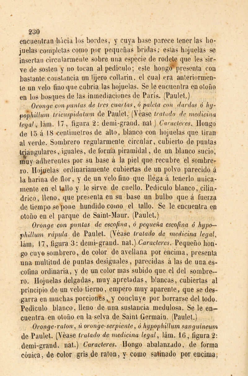 encuentran liácia los bordes, y cuya base parece tener las bo* juelas completas como por pequeñas bridas; estas hojuelas se insertan circulamiente sobre una especie de rodete que les sir¬ ve de sosten y no tocan al pedículo; este hongoT* presenta coa bastante constancia un lijero collarin, el cual era anteriormen¬ te un velo fino que cubría las hojuelas. Se le encuentra en otoño en los bosques de las inmediaciones de París. (Paulel.) Oronge con punías de tres cuartas, ó paleta con dardos ó Jig^ pophillwn tricuspidatum de Paulet. (Véase tratado de medicina legal, lám. 17, figura 2: demi-grand. nat) Caracteres. Hongo de 15 á 18 centímetros de alto, blanco con hojuelas que tiran al verde. Sombrero regularmente circular, cubierto de puntas triangulares, iguales, de forma piramidal, de un blanco sucio, muy adherentes por su base á la piel que recubre el sombre¬ ro. Hojuelas ordinariamente cubiertas de un polvo parecido á la harina de flor, y de un velo fino que llega á tenerlo única¬ mente en el tallo y le sirve de cuello. Pedículo blanco, cilin¬ drico, lleno, que presenta en su base un bulbo que á fuerza de tiempo se pone hundido como el tallo. Se le encuentra en otoño en el parque de Saint-Maur. (Paulet.) Oronge con puntas de escofina, ó pequeña escofina ó hypo-- phillum rápida de Paulet. (Véase tratado de medicina legal, lám. 17, figura 3: demi-grand. nat.) Caracteres, Pequeño hon¬ go cuyo sombrero, de color de avellana por encima, presenta una multitud de puntas desiguales, parecidas á las de una es¬ cofina ordinaria, y de un color mas subido que el del sombre¬ ro. Hojuelas delgadas, muy apretadas, blancas, cubiertas al principio de un velo tierno, empero muy aparente, que se des¬ garra en muchas porciones, y concluye por borrarse del todo. Pedículo blanco, lleno de una sustancia medulosa. Se le en¬ cuentra en otoño en la selva de Saint Germain. (Paulet.) Oronge-raton, ú oronge-serpiente^ ó hgpophillum sanguineum de Paulet. (Véase tratado de medicina legal, lám. 16, figura 2: demi-grand. nat.) Caracteres, Hongo abalanzado, de forma cónica, de color gris de ratón, y como satinado por encima,