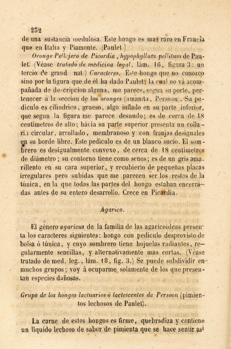 de ima sustancia medulosa. Este hongo 'es mas raro en Francia que en Italia y Piamonte. (Paület) Oronge Pellejero de Picnrdia ^ hypophgllum pelliUim de Pau- let. (Véase Iratado de medicina legal, lám. 16, figura 3 : un tercio de grand nat.) Caracteres. Este hongo que no conozco sino por la figura que de él ha dado Paulet , la cual no vá acom¬ pañada do de-cripcion alguna, rae parece, según su porte, per¬ tenecer á la sección do los oronges (amanita , Persoon'. Su pe¬ dículo es cilindrico, grueso, algo inflado en su parte inferior, que según la figura rae parece desnudo; es de cerca de 18 centímetros de alto; hácia su parte superior presenta un colla- ilrcircular, arrollado, membranoso y con franjas desiguales su borde libre. Este pedículo es de un blanco sucio. El som¬ brero es desigualmente convexo, de cerca de 48 centímelros de diámetro; su contorno tiene como senos; es de un gris ama¬ rillento en su cara superior, y recubierlo de pequeñas placas irregulares pero subidas que me parecen ser los restos de la túnica, en la que todas las partes del hongo estaban encerra¬ das antes de su entero desarrollo. Crece en Picardía. Agárico. El género agaricus de la familia de las agaricoideas preseir ta los caracteres siguientes: hongo con pedículo desprovisto de bolsa ó túnica, y cuyo sombrero tiene hojuelas radiantes, re¬ gularmente sencillas, y alternativamente mas cortas. (Véase tratado de med. leg., lám. Ifl, fig. 3.) Se puede subdividir en muchos grupos; voy á ocuparme, solamente de los que presen¬ tan especies dañosas. Grupo de los hongos lactuariosé lactescentes de Persoon (pimien¬ tos lechosos de Paulet). La carne de estos hongos es firme, quebradiza y contiene un liquido lechoso de sabor de pimienta que se hace sentir as*