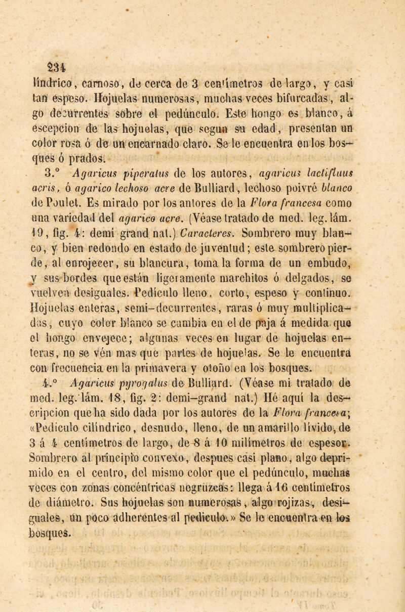 ^34 lindrico, carnosa, da cerca de 3 ceniiinelros de largo, y casi tan espeso. Ilojuelas numerosas, muchas veces bifurcadas , al¬ go deoürrentes sobre el pedúnculo. Este hongo es blanco, á escepcion de las hojuelas, que según s^ edad , presentan un color rosa ó de un encarnado claro. Se le encuentra en los bos¬ ques ó prados. 3. ® Agaricus piperalus de los autores, agnricus laclífluus acris, ó agárico lechoso acre de Bulliard, leclioso poivré blanco dePoulet. Es mirado por los autores de la Flora francesa como una variedad del agárico acre. (Véase tratado de med. leg.lám. 19, fig. 4: demi grand nal.) Caracteres. Sombrero muy blan¬ co, y bien redondo en estado de juventud; este sombrero pier¬ de, al enrojecer, su blancura, toma la forma de un embudo, y sus' bordes que están ligeramente marcbitos ó delgados., se vuelven desiguales. Pedículo lleno, corto, espeso y continuo, líojuelas enteras, semi-decuiTentes , raras é muy miilliplica- das, cuyo color blanco se cambia en el de ptija á medida que el bongo envejece; algunas veces en lugar de hojuelas en¬ teras, no se vén mas que partes de hojuelas. Se le encuentra con frecuencia en la primavera y otoño en los bosques, 4, ° Agaricus pgrogalus de Bulliard. (Véase mi tratado de med. leg. lám, 18 , fig. 2 : demi-grand nat.) Hé aquí la des¬ cripción que ha sido dada por los autores de la Flora francésa\ ((Pedículo cilindrico, desnudo, lleno, de un amarillo lívido,de 3 á 4 centímetros de largo, de-8 á 10 milímetros de espesoE. Sombrero al principio convexo, después casi plano, algo depri¬ mido en el centro, del mismo color que el pedúnculo, muchas veces con zonas concéntricas negruzcas: llega ái6 centímetros de diámetro. Sus hojuelas son numerosas, algo rojizas-, desi^ guales, ún poco ádheixíntes al pedkulo*,» Se le enouenlra en \m bosques. /