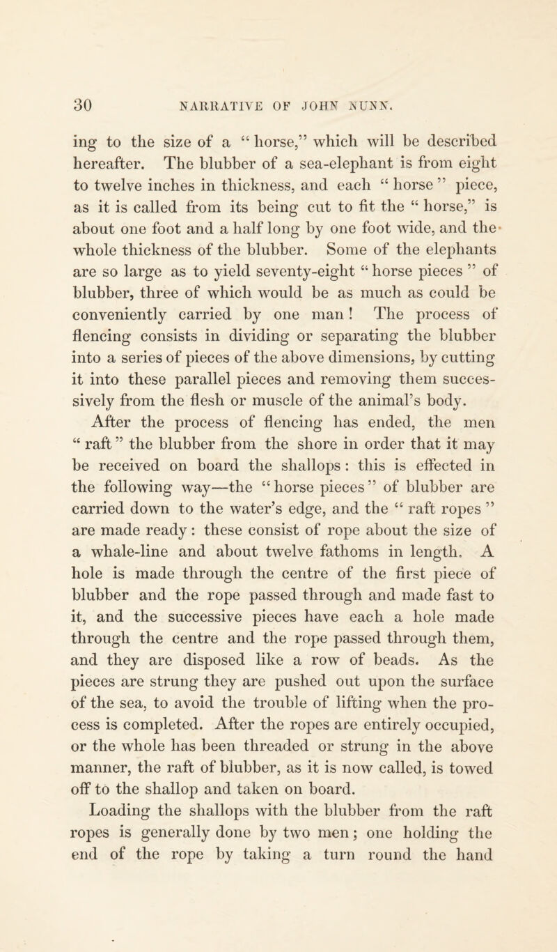 ing to the size of a “ horse,” which will be described hereafter. The blubber of a sea-elephant is from eight to twelve inches in thickness, and each “ horse” piece, as it is called from its being cut to fit the “ horse,” is about one foot and a half long by one foot wide, and the- whole thickness of the blubber. Some of the elephants are so large as to yield seventy-eight “ horse pieces ” of blubber, three of which would be as much as could be conveniently carried by one man! The process of flencing consists in dividing or separating the blubber into a series of pieces of the above dimensions, by cutting it into these parallel pieces and removing them succes¬ sively from the flesh or muscle of the animal’s body. After the process of flencing has ended, the men “ raft ” the blubber from the shore in order that it may be received on board the shallops: this is effected in the following way—the “ horse pieces ” of blubber are carried down to the water’s edge, and the “ raft ropes ” are made ready: these consist of rope about the size of a whale-line and about twelve fathoms in length. A hole is made through the centre of the first piece of blubber and the rope passed through and made fast to it, and the successive pieces have each a hole made through the centre and the rope passed through them, and they are disposed like a row of beads. As the pieces are strung they are pushed out upon the surface of the sea, to avoid the trouble of lifting when the pro¬ cess is completed. After the ropes are entirely occupied, or the whole has been threaded or strung in the above manner, the raft of blubber, as it is now called, is towed off to the shallop and taken on board. Loading the shallops with the blubber from the raft ropes is generally done by two men; one holding the end of the rope by taking a turn round the hand