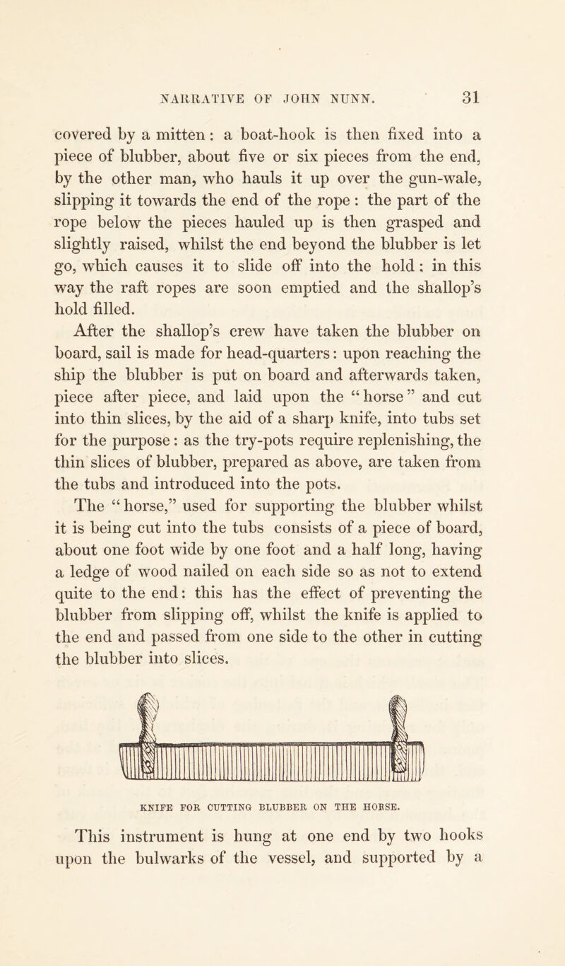 covered by a mitten : a boat-hook is then fixed into a piece of blubber, about five or six pieces from the end, by the other man, who hauls it up over the gun-wale, slipping it towards the end of the rope: the part of the rope below the pieces hauled up is then grasped and slightly raised, whilst the end beyond the blubber is let go, which causes it to slide off into the hold: in this way the raft ropes are soon emptied and the shallop’s hold filled. After the shallop’s crew have taken the blubber on board, sail is made for head-quarters: upon reaching the ship the blubber is put on board and afterwards taken, piece after piece, and laid upon the “ horse ” and cut into thin slices, by the aid of a sharp knife, into tubs set for the purpose : as the try-pots require replenishing, the thin slices of blubber, prepared as above, are taken from the tubs and introduced into the pots. The “ horse,” used for supporting the blubber whilst it is being cut into the tubs consists of a piece of board, about one foot wide by one foot and a half long, having a ledge of wood nailed on each side so as not to extend quite to the end: this has the effect of preventing the blubber from slipping off, whilst the knife is applied to the end and passed from one side to the other in cutting the blubber into slices. KNIFE FOR CUTTING BLUBBER ON THE HOUSE. This instrument is hung at one end by two hooks upon the bulwarks of the vessel, and supported by a