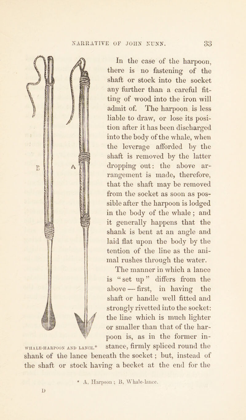 OO In the case of the harpoon, there is no fastening of the shaft or stock into the socket any further than a careful fit¬ ting of wood into the iron will admit of. The harpoon is less liable to draw, or lose its posi¬ tion after it has been discharged into the body of the whale, when the leverage afforded by the shaft is removed by the latter y | A in dropping out: the above ar¬ rangement is made, therefore, that the shaft may be removed from the socket as soon as pos¬ sible after the harpoon is lodged in the body of the whale ; and it generally happens that the shank is bent at an angle and laid flat upon the body by the tention of the line as the ani¬ mal rushes through the water. The manner in which a lance is “ set up ” differs from the above — first, in having the shaft or handle well fitted and strongly rivetted into the socket: the line which is much lighter or smaller than that of the har¬ poon is, as in the former in¬ stance, firmly spliced round the shank of the lance beneath the socket; but, instead of the shaft or stock having a becket at the end for the WHALE-HARPOON AND LANCE. A. Harpoon ; 13, Whale-lance.