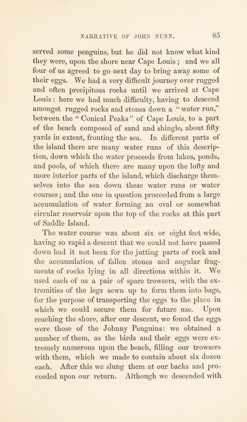 served some penguins, but he did not know what kind they were, upon the shore near Cape Louis ; and we all four of us agreed to go next day to bring away some of their eggs. We had a very difficult journey over rugged and often precipitous rocks until we arrived at Cape Louis: here we had much difficulty, having to descend amongst rugged rocks and stones down a “ water run,” between the “ Conical Peaks ” of Cape Louis, to a part of the beach composed of sand and shingle, about fifty yards in extent, fronting the sea. In different parts of the island there are many water runs of this descrip¬ tion, down which the water proceeds from lakes, ponds, and pools, of which there are many upon the lofty and more interior parts of the island, which discharge them¬ selves into the sea down these water runs or water courses; and the one in question proceeded from a large accumulation of water forming an oval or somewhat circular reservoir upon the top of the rocks at this part of Saddle Island. The water course was about six or eight feet wide, having so rapid a descent that we could not have passed down had it not been for the jutting parts of rock and the accumulation of fallen stones and angular frag¬ ments of rocks lying in all directions within it. We used each of us a pair of spare trowsers, with the ex¬ tremities of the legs sewn up to form them into bags, for the purpose of transporting the eggs to the place in which we could secure them for future use. Upon reaching the shore, after our descent, we found the eggs were those of the Johnny Penguins: we obtained a number of them, as the birds and their eggs were ex¬ tremely numerous upon the beach, filling our trowsers with them, which we made to contain about six dozen each. After this we slung them at our backs and pro¬ ceeded upon our return. Although we descended with