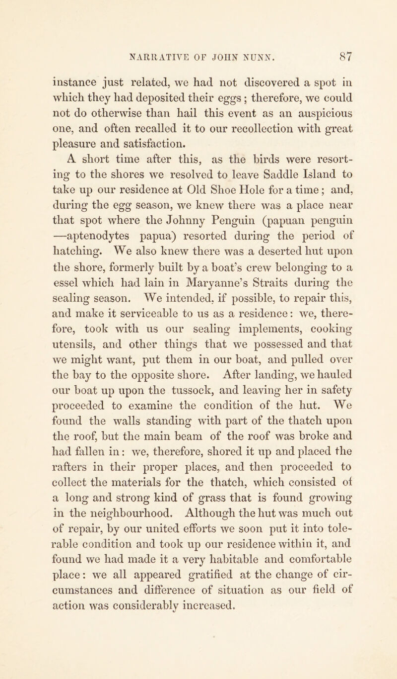 instance just related, we had not discovered a spot in which they had deposited their eggs ; therefore, we could not do otherwise than hail this event as an auspicious one, and often recalled it to our recollection with great pleasure and satisfaction. A short time after this, as the birds were resort¬ ing to the shores we resolved to leave Saddle Island to take up our residence at Old Shoe Hole for a time ; and, during the egg season, we knew there was a place near that spot where the Johnny Penguin (papuan penguin —aptenodytes papua) resorted during the period of hatching. We also knew there was a deserted hut upon the shore, formerly built by a boat’s crew belonging to a essel which had lain in Maryanne’s Straits during the sealing season. We intended, if possible, to repair this, and make it serviceable to us as a residence: we, there¬ fore, took with us our sealing implements, cooking utensils, and other things that we possessed and that we might want, put them in our boat, and pulled over the bay to the opposite shore. After landing, we hauled our boat up upon the tussock, and leaving her in safety proceeded to examine the condition of the hut. We found the walls standing with part of the thatch upon the roof, but the main beam of the roof was broke and had fallen in: we, therefore, shored it up and placed the rafters in their proper places, and then proceeded to collect the materials for the thatch, which consisted of a long and strong kind of grass that is found growing in the neighbourhood. Although the hut was much out of repair, by our united efforts we soon put it into tole¬ rable condition and took up our residence within it, and found we had made it a very habitable and comfortable place: we all appeared gratified at the change of cir¬ cumstances and difference of situation as our field of action was considerably increased.
