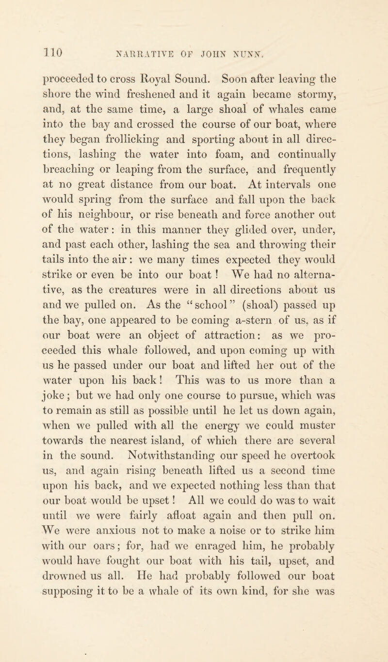 proceeded to cross Royal Sound. Soon after leaving the shore the wind freshened and it again became stormy, and, at the same time, a large shoal of whales came into the bay and crossed the course of our boat, where they began frollicking and sporting about in all direc¬ tions, lashing the water into foam, and continually breaching or leaping from the surface, and frequently at no great distance from our boat. At intervals one would spring from the surface and fall upon the back of his neighbour, or rise beneath and force another out of the water: in this manner they glided over, under, and past each other, lashing the sea and throwing their tails into the air : we many times expected they would strike or even be into our boat ! We had no alterna¬ tive, as the creatures were in all directions about us and we pulled on. As the “ school ” (shoal) passed up the bay, one appeared to be coming a-stern of us. as if our boat were an object of attraction: as we pro¬ ceeded this whale followed, and upon coming up with us he passed under our boat and lifted her out of the water upon his back! This was to us more than a joke; but we had only one course to pursue, which was to remain as still as possible until he let us down again, when we pulled with all the energy we could muster towards the nearest island, of which there are several in the sound. Notwithstanding our speed he overtook us, and again rising beneath lifted us a second time upon his back, and we expected nothing less than that our boat would be upset! All we could do was to wait until we were fairly afloat again and then pull on. We were anxious not to make a noise or to strike him with our oars; for, had we enraged him, he probably would have fought our boat with his tail, upset, and drowned us all. He had probably followed our boat supposing it to be a whale of its own kind, for she was