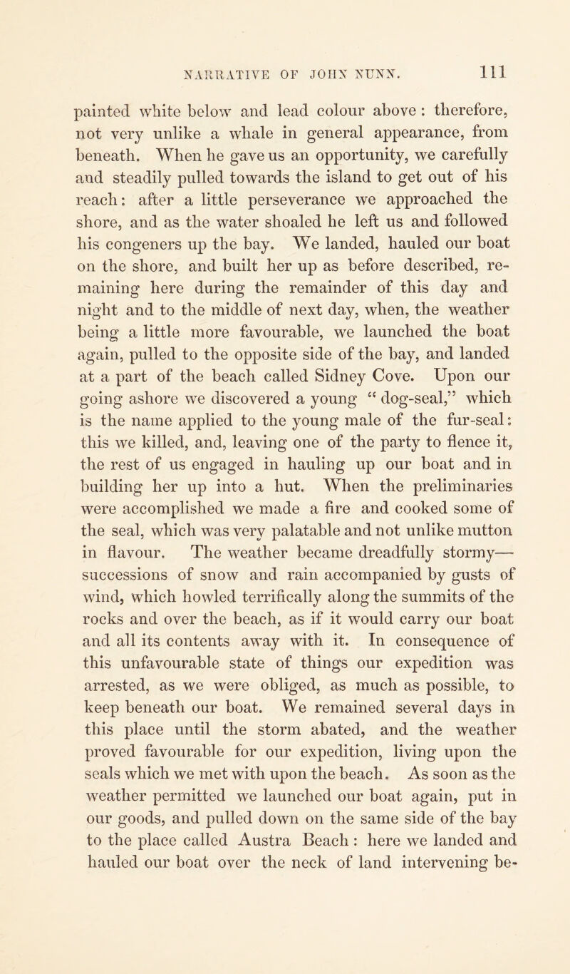 painted white below and lead colour above : therefore, not very unlike a whale in general appearance, from beneath. When he gave us an opportunity, we carefully and steadily pulled towards the island to get out of his reach: after a little perseverance we approached the shore, and as the water shoaled he left us and followed his congeners up the bay. We landed, hauled our boat on the shore, and built her up as before described, re¬ maining here during the remainder of this day and night and to the middle of next day, when, the weather being a little more favourable, we launched the boat again, pulled to the opposite side of the bay, and landed at a part of the beach called Sidney Cove. Upon our going ashore we discovered a young “ dog-seal,” which is the name applied to the young male of the fur-seal: this we killed, and, leaving one of the party to flence it, the rest of us engaged in hauling up our boat and in building her up into a hut. When the preliminaries were accomplished we made a fire and cooked some of the seal, which was very palatable and not unlike mutton in flavour. The weather became dreadfully stormy— successions of snow and rain accompanied by gusts of wind, which howled terrifically along the summits of the rocks and over the beach, as if it would carry our boat and all its contents away with it. In consequence of this unfavourable state of things our expedition was arrested, as we were obliged, as much as possible, to keep beneath our boat. We remained several days in this place until the storm abated, and the weather proved favourable for our expedition, living upon the seals which we met with upon the beach. As soon as the weather permitted we launched our boat again, put in our goods, and pulled down on the same side of the bay to the place called Austra Beach : here we landed and hauled our boat over the neck of land intervening be-