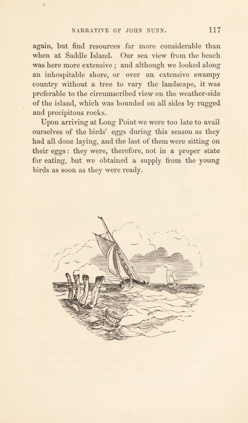 again, but find resources far more considerable than when at Saddle Island. Our sea view from the beach was here more extensive ; and although we looked along an inhospitable shore, or over an extensive swampy country without a tree to vary the landscape, it was preferable to the circumscribed view on the weather-side of the island, which was bounded on all sides by rugged and precipitous rocks. Upon arriving at Long Point we were too late to avail ourselves of the birds’ eggs during this season as they had all done laying, and the last of them were sitting on their eggs: they were, therefore, not in a proper state for eating, but we obtained a supply from the young birds as soon as they were ready.