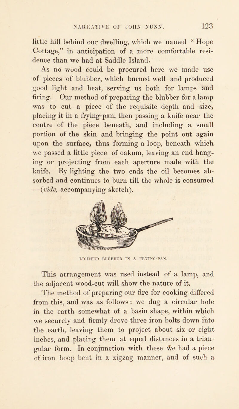 little hill behind our dwelling, which we named “ Hope Cottage,” in anticipation of a more comfortable resi¬ dence than we had at Saddle Island. As no wood could be procured here we made use of pieces of blubber, which burned well and produced good light and heat, serving us both for lamps and tiring. Our method of preparing the blubber for a lamp was to cut a piece of the requisite depth and size, placing it in a frying-pan, then passing a knife near the centre of the piece beneath, and including a small portion of the skin and bringing the point out again upon the surface, thus forming a loop, beneath which we passed a little piece of oakum, leaving an end hang¬ ing or projecting from each aperture made with the knife. By lighting the two ends the oil becomes ab¬ sorbed and continues to burn till the whole is consumed —(vide, accompanying sketch). LIGHTED BLUBBER IN A FRYING-PAN, This arrangement was used instead of a lamp, and the adjacent wood-cut will show the nature of it. The method of preparing our fire for cooking differed from this, and was as follows: we dug a circular hole in the earth somewhat of a basin shape, within which we securely and firmly drove three iron bolts down ihto the earth, leaving them to project about six or eight inches, and placing them at equal distances in a trian¬ gular form. In conjunction with these Ae had a piece of iron hoop bent in a zigzag manner, and of such a