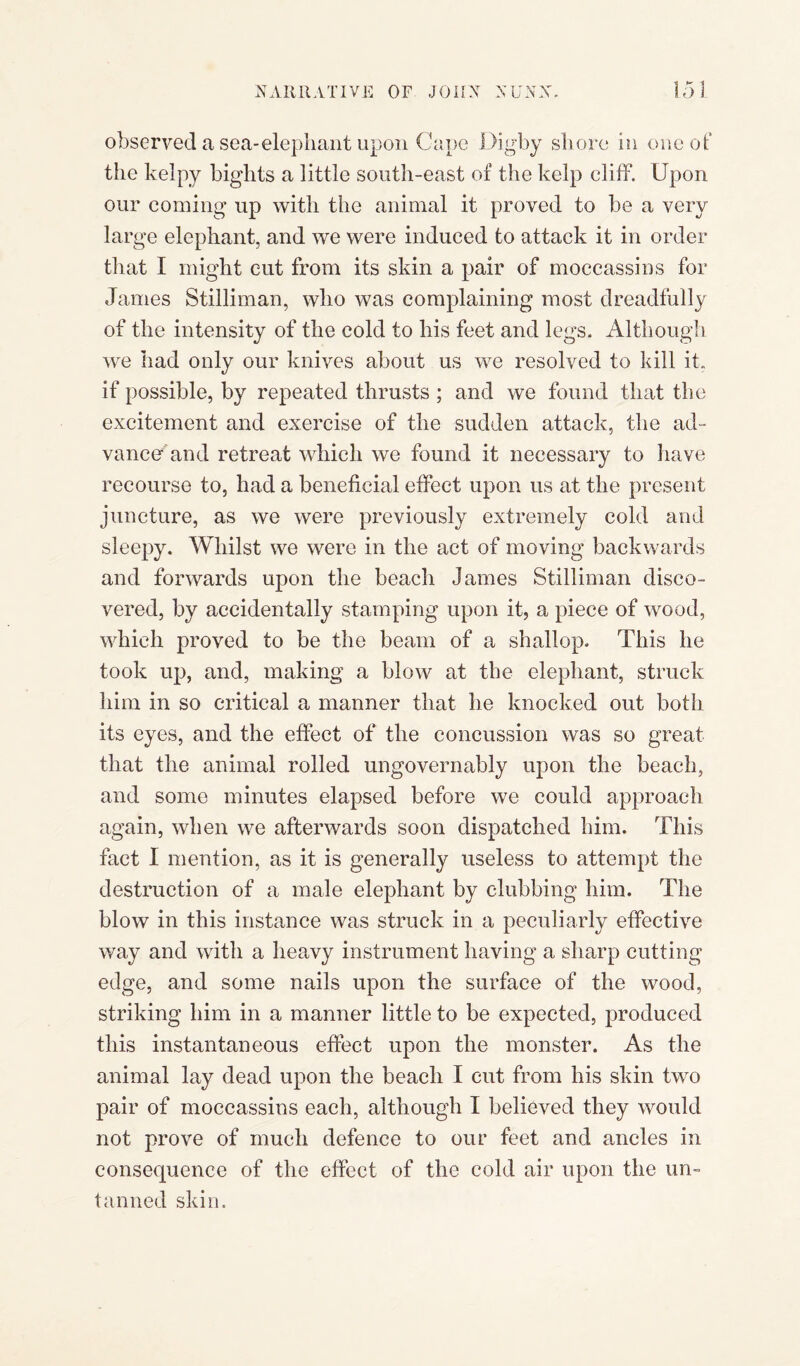 observed a sea-elephant upon Gape Digby shore in one of the kelpy bights a little south-east of the kelp cliff. Upon our coming up with the animal it proved to be a very large elephant, and we were induced to attack it in order that I might cut from its skin a pair of moccassins for James Stilliman, who was complaining most dreadfully of the intensity of the cold to his feet and legs. Although we had only our knives about us we resolved to kill it. if possible, by repeated thrusts ; and we found that the excitement and exercise of the sudden attack, the ad¬ vance^ and retreat which we found it necessary to have recourse to, had a beneficial effect upon us at the present juncture, as we were previously extremely cold and sleepy. Whilst we were in the act of moving backwards and forwards upon the beach James Stilliman disco¬ vered, by accidentally stamping upon it, a piece of wood, which proved to be the beam of a shallop. This he took up, and, making a blow at the elephant, struck him in so critical a manner that he knocked out both its eyes, and the effect of the concussion was so great that the animal rolled ungovernably upon the beach, and some minutes elapsed before we could approach again, when we afterwards soon dispatched him. This fact I mention, as it is generally useless to attempt the destruction of a male elephant by clubbing him. The blow in this instance was struck in a peculiarly effective way and with a heavy instrument having a sharp cutting edge, and some nails upon the surface of the wood, striking him in a manner little to be expected, produced this instantaneous effect upon the monster. As the animal lay dead upon the beach I cut from his skin two pair of moccassins each, although I believed they would not prove of much defence to our feet and ancles in consequence of the effect of the cold air upon the un~ tanned skin.