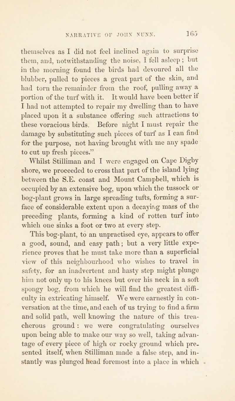 themselves as I did not feel inclined again to surprise them, and, notwithstanding the noise, I fell asleep ; hut in the morning found the birds had devoured all the blubber, pulled to pieces a great part of the skin, and had torn the remainder from the roof, pulling away a portion of the turf with it. It would have been better it I had not attempted to repair my dwelling than to have placed upon it a substance offering such attractions to these voracious birds. Before night I must repair the damage by substituting such pieces of turf as I can find for the purpose, not having brought witli me any spade to cut up fresh pieces.” Whilst Stilliman and I were engaged on Cape Digby shore, we proceeded to cross that part of the island lying between the S.E. coast and Mount Campbell, which is occupied by an extensive bog, upon which the tussock or bog-plant grows in large spreading tufts, forming a sur¬ face of considerable extent upon a decaying mass of the preceding plants, forming a kind of rotten turf into which one sinks a foot or two at every step. This bog-plant, to an unpractised eye, appears to offer a good, sound, and easy path; but a very little expe¬ rience proves that he must take more than a superficial view of this neighbourhood who wishes to travel in safety, for an inadvertent and hasty step might plunge him not only up to his knees but over his neck in a soft spongy bog, from which he will find the greatest diffi¬ culty in extricating himself. We were earnestly in con¬ versation at the time, and each of us trying to find a firm and solid path, well knowing the nature of this trea¬ cherous ground : we were congratulating ourselves upon being able to make our way so well, taking advan¬ tage of every piece of high or rocky ground which pre¬ sented itself, when Stilliman made a false step, and in¬ stantly was plunged head foremost into a place in which