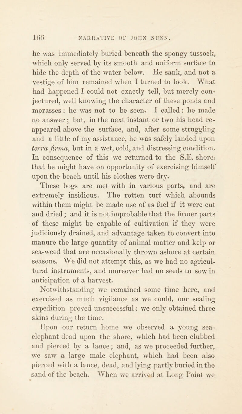 he was immediately buried beneath the spongy tussock, which only served by its smooth and uniform surface to hide the depth of the water below. He sank, and not a vestige of him remained when I turned to look. What had happened I could not exactly tell, but merely con¬ jectured, well knowing the character of these ponds and morasses : he was not to be seen. I called: he made no answer; but, in the next instant or two his head re¬ appeared above the surface, and, after some struggling and a little of my assistance, he was safely landed upon terra firma, but in a wet, cold, and distressing condition. In consequence of this we returned to the S.E. shore? that he might have on opportunity of exercising himself upon the beach until his clothes were dry. These bogs are met with in various parts, and are extremely insidious. The rotten turf which abounds within them might be made use of as fuel if it were cut and dried; and it is not improbable that the firmer parts of these might be capable of cultivation if they were judiciously drained, and advantage taken to convert into manure the large quantity of animal matter and kelp or sea-weed that are occasionally thrown ashore at certain seasons. We did not attempt this, as we had no agricul¬ tural instruments, and moreover had no seeds to sow in anticipation of a harvest. Notwithstanding we remained some time here, and exercised as much vigilance as we could, our sealing expedition proved unsuccessful: we only obtained three skins during the time. Upon our return home we observed a young sea- elephant dead upon the shore, which had been clubbed and pierced by a lance; and, as we proceeded further, we saw a large male elephant, which had been also pierced with a lance, dead, and lying partly buried in the sand of the beach. W hen we arrived at Long Point we