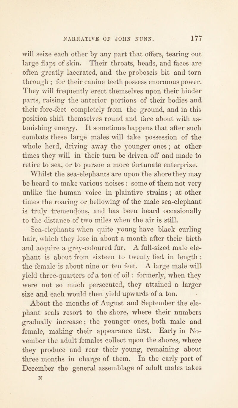 will seize each other by any part that offers, tearing out large flaps of skin. Their throats, heads, and faces are often greatly lacerated, and the proboscis bit and torn through ; for their canine teeth possess enormous power. They will frequently erect themselves upon their hinder parts, raising the anterior portions of their bodies and their fore-feet completely from the ground, and in this position shift themselves round and face about with as¬ tonishing energy. It sometimes happens that after such combats these large males will take possession of the whole herd, driving away the younger ones ; at other times they will in their turn be driven off and made to retire to sea, or to pursue a more fortunate enterprize. Whilst the sea-elephants are upon the shore they may be heard to make various noises : some of them not very unlike the human voice in plaintive strains ; at other times the roaring or bellowing of the male sea-elephant is truly tremendous, and has been heard occasionally to the distance of two miles when the air is still. Sea-elephants when quite young have black curling hair, which they lose in about a month after their birth and acquire a grey-coloured fur. A full-sized male ele¬ phant is about from sixteen to twenty feet in length: the female is about nine or ten feet. A large male will yield three-quarters of a ton of oil: formerly, when they were not so much persecuted, they attained a larger size and each would then yield upwards of a ton. About the months of August and September the ele¬ phant seals resort to the shore, where their numbers gradually increase ; the younger ones, both male and female, making their appearance first. Early in No¬ vember the adult females collect upon the shores, where they produce and rear their young, remaining about three months in charge of them. In the early part of December the general assemblage of adult males takes