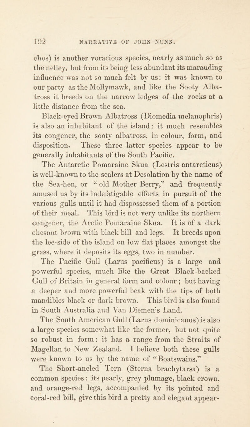 olios) is another voracious species, nearly as much so as the nelley, but from its being less abundant its marauding influence was not so much felt by us: it was known to our party as the Mollymawk, and like the Sooty Alba¬ tross it breeds on the narrow ledges of the rocks at a little distance from the sea. Black-eyed Brown Albatross (Diomedia melanophris) is also an inhabitant of the island: it much resembles its congener, the sooty albatross, in colour, form, and disposition. These three latter species appear to be generally inhabitants of the South Pacific. The Antarctic Pomaraine Skua (Lestris antarcticus) is well-known to the sealers at Desolation by the name of the Sea-hen, or “ old Mother Berry,” and frequently amused us by its indefatigable efforts in pursuit of the various gulls until it had dispossessed them of a portion of their meal. This bird is not very unlike its northern congener, the Arctic Pomaraine Skua. It is of a dark chesnut brown with black bill and legs. It breeds upon the lee-side of the island on low flat places amongst the grass, where it deposits its eggs, two in number. The Pacific Gull (Larus pacificus) is a large and powerful species, much like the Great Black-backed Gull of Britain in general form and colour ; but having a deeper and more powerful beak with the tips of both mandibles black or dark brown. This bird is also found in South Australia and Van Diemen’s Land. The South American Gull (Larus dominicanus) is also a large species somewhat like the former, but not quite so robust in form: it has a range from the Straits of Magellan to New Zealand. I believe both these gulls were known to us by the name of “Boatswains.” The Short-ancled Tern (Sterna brachytarsa) is a common species: its pearly, grey plumage, black crown, and orange-red legs, accompanied by its pointed and coral-red bill, give this bird a pretty and elegant appear-