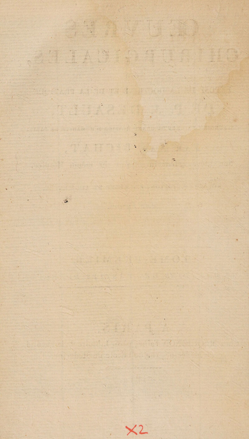 » *4 l ' IV- I e> \ .y'- • * \ ii . » \ . xi.