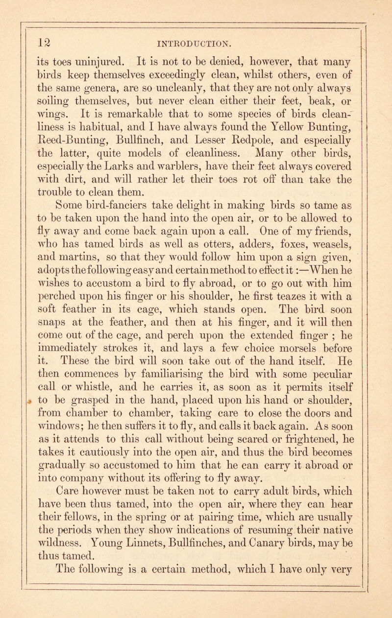 its toes uninjured. It is not to be denied, however, that many birds keep themselves exceedingly clean, whilst others, even of the same genera, are so uncleanly, that they are not only always soiling themselves, but never clean either their feet, beak, or wings. It is remarkable that to some species of birds clean-' liness is habitual, and I have always found the Yellow Bunting, Reed-Bunting, Bullfinch, and Lesser Redpole, and especially the latter, quite models of cleanliness. Many other birds, especially the Larks and warblers, have their feet always covered with dirt, and will rather let their toes rot off than take the trouble to clean them. Some bird-fanciers take delight in making birds so tame as to be taken upon the hand into the open air, or to be allowed to fly away and come back again upon a call. One of my friends, who has tamed birds as well as otters, adders, foxes, weasels, and martins, so that they would follow him upon a sign given, adopts the following easy and certain method to effect itWhen he wishes to accustom a bird to fly abroad, or to go out with him perched upon his finger or his shoulder, he first teazes it with a soft feather in its cage, which stands open. The bird soon snaps at the feather, and then at his finger, and it will then come out of the cage, and perch upon the extended finger ; he immediately strokes it, and lays a few choice morsels before it. These the bird will soon take out of the hand itself. He then commences by familiarising the bird with some peculiar call or whistle, and he carries it, as soon as it permits itself # to be grasped in the hand, placed upon his hand or shoulder, from chamber to chamber, taking care to close the doors and windows; he then suffers it to fly, and calls it back again. As soon as it attends to this caU without being scared or frightened, he takes it cautiously into the open air, and thus the bird becomes gradually so accustomed to him that he can carry it abroad or into company without its offering to fly away. Care however must be taken not to carry adult birds, which have been thus tamed, into the open air, where they can hear their fellows, in the spring or at pairing time, which are usually the periods when they show indications of resinning their native wildness. Young Linnets, Bullfinches, and Canary birds, may be thus tamed. The following is a certain method, which I have only very