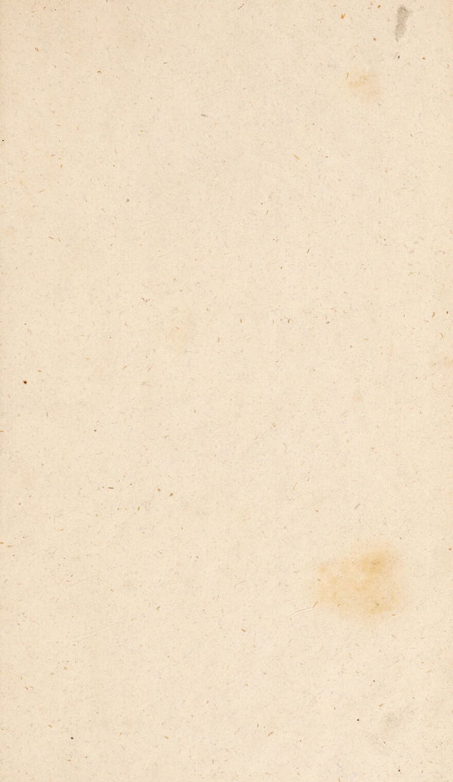 digitised image 3