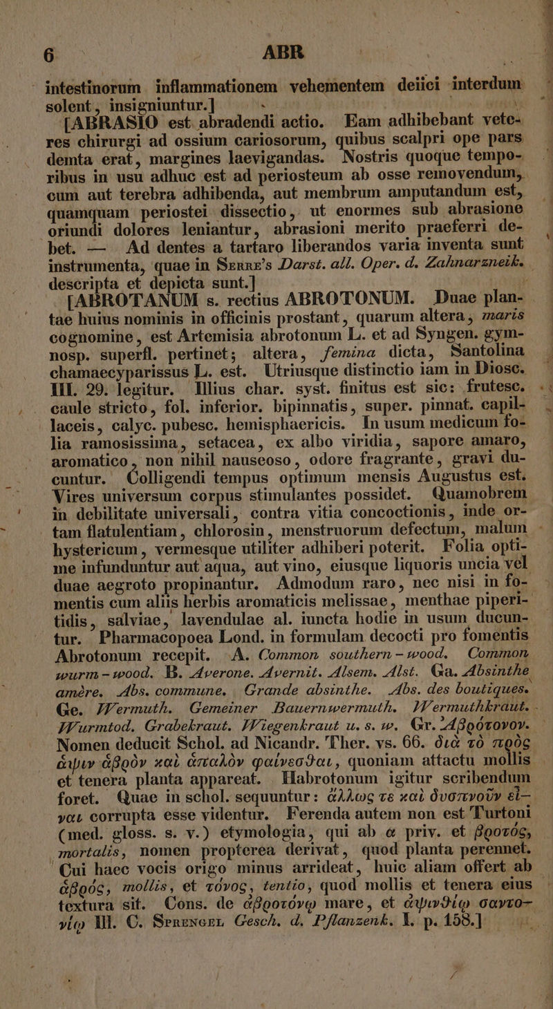 - intestinorum inflammationem vehementem deiici interdum: solent, insigniuntur.] ^. - pom FABRASIO est abradendi actio. Eam adhibebant vete- res chirurgi ad ossium cariosorum, quibus scalpri ope pars demta erat, margines laevigandas. ANoitris quoque tempo- ribus in usu adhuc est ad periosteum ab osse removendum;. cum aut terebra adhibenda, aut membrum amputandum est, quamquam periostei dissectio, ut enormes sub abrasione oriundi dolores leniantur, abrasioni merito praeferri de- bet. — . Ad dentes a tartaro liberandos varia inventa sunt descripta et depicta sunt.] ÓH . tae huius nominis in officinis prostant, quarum altera, maris cognomine , est Artemisia abrotonum L. et ad Syngen. gym- nosp. superfl. pertinet; altera, J/emina dicta, Santolina chamaecyparissus L. est. Utriusque distinctio iam in Diosc. III. 29. legitur. lius char. syst. finitus est sic: frutesc. caule stricto, fol. inferior. bipinnatis, super. pinnat. capil- laceis, calyc. pubesc. hemisphaericis. In usum medicum fo- lia ramosissima, setacea, ex albo viridia, sapore amaro, aromatico , non nihil nauseoso, odore fragrante, gravi du- cuntur. Colligendi tempus optimum mensis Augustus est. Vires universum corpus stimulantes possidet. €uamobrem in debilitate universali, contra vitia concoctionis, inde or- hystericum , vermesque utiliter adhiberi poterit. Folia opti- me infunduntur aut aqua, aut vino, eiusque liquoris uncia vel. duae aegroto propinantur. Admodum raro, nec nisi in fo- mentis cum aliis herbis aromaticis melissae, menthae piperi- tidis, salviae, lavendulae al. iuncta hodie in usum. ducun- Abrotonum recepit. .A. Common southerm-:wood. Common wurm - wood. B. A4verone. Avernit. Alsem. 4lst. xa. Absinthe amére. bs. commune. | Grande absinthe. | bs. des boutiques. JFurmtod. Grabekraut. Iiegenkraut u. s. w.. Gr. 248p0v0vo». Nomen deducit Schol. ad Nicandr. 'T'her. vs. 66. 0&amp;4 20 zoóc &amp;yuw áfgóv xai &amp;moalóv qatvsoJor, quoniam attactu mollis. et tenera planta appareat. | Habrotonum igitur scribendum foret. Quae in schol. sequuntur : àAÀcG z&amp; xoi óvoztvoUr &amp;i— ycL corrupta esse videntur. Ferenda autem non est 'T'urtoni (med. gloss. s. v.) etymologia, qui ab « priv. et gooróc, mortalis, nomen propterea derivat, quod planta perennet.. Cui haec vocis origo minus arrideat, huic aliam offert ab textura sit. Cons. de &amp;fooróvg mare, et &amp;Uyw3iqo cavvo-. vio Ml. C. Senzwezn Gesch. d. Pflanzenk. Y. p. 198.]