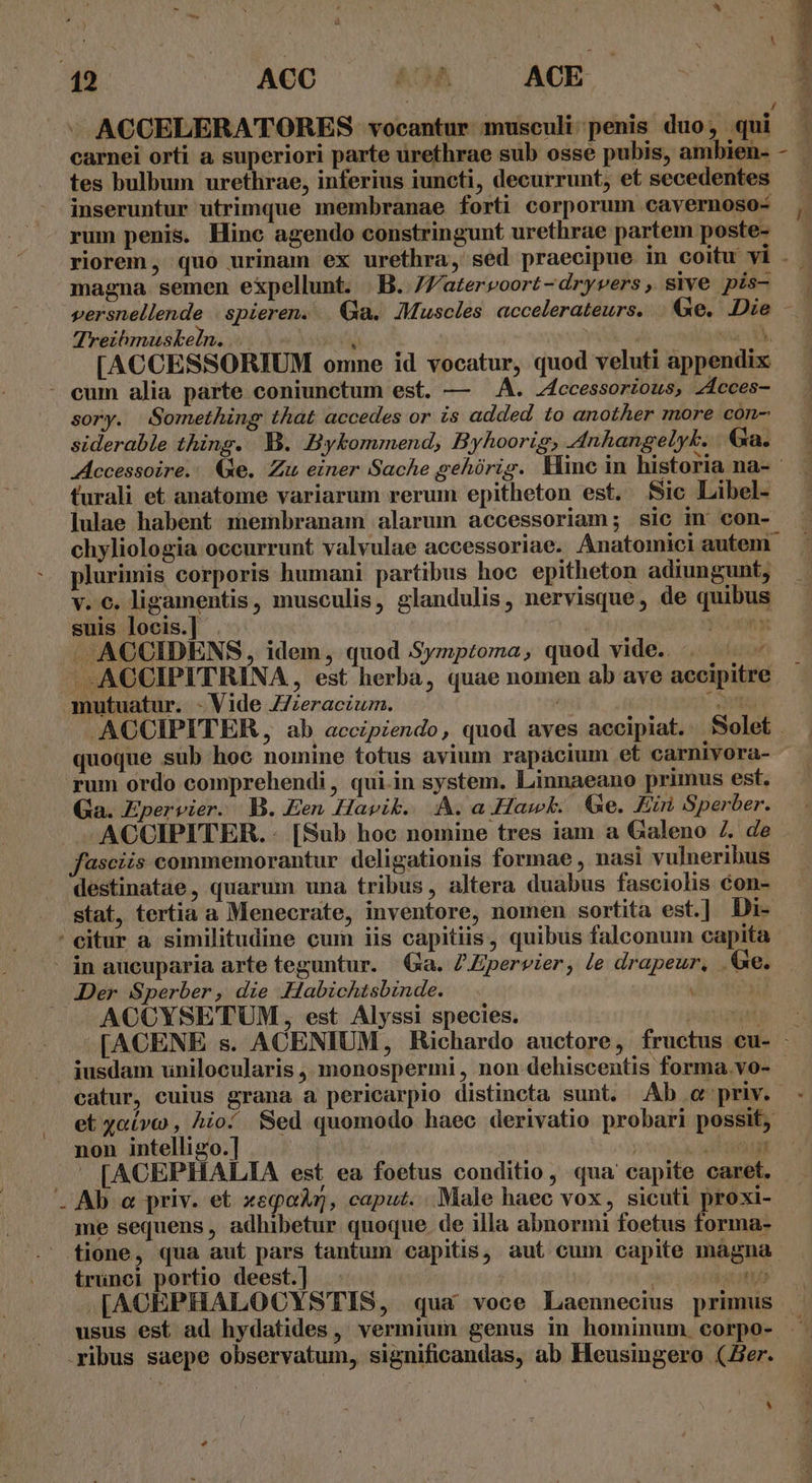| z A. 12 ACC ^ «9A ACE ! ACCELERATORES vocantur musculi penis duo, qui — carnei orti a superiori parte urethrae sub osse pubis, ambien- - tes bulbum urethrae, inferius iuncti, decurrunt, et secedentes inseruntur utrimque membranae forti corporum cavernoso- rum penis. Hinc agendo constringunt urethrae partem poste- riorem, quo urinam ex urethra, sed praecipue in coitu vi . - magna semen e&amp;pellunt. B. /Z/atervoort-dryvers, sive pis- —— versnellende . spieren... Ga. Muscles accelerateurs. | Qe, Die — Treibmuskeln. Vie : vc [ACCESSORTIUM omne id vocatur, quod veluti appendix - eum alia parte coniunctum est. — A. Accessorious, ZAcces- sory. Something that accedes or is added. to another more con- siderable thing. B. Bykommend, Byhoorig, 4nhangelyk. Ga. Accessoire... (Xe. Zu einer Sache gehürig. Hinc in historia na- turali et anatome variarum rerum epitheton est. fic Libel- lulae habent membranam alarum accessoriam; sic in con- chyliologia occurrunt valvulae accessoriae. Anatomici autem plurimis corporis humani partibus hoc epitheton adiungunt, v. €. ligamentis, musculis, glandulis, nervisque, de quibus suis locis.] . TUS Im - ACCIDENS, idem, quod SSyzptoma, quod vide... ^ - - .ACCIPITRINA , est herba, quae nomen ab ave accipitre mutuatur. - Vide ZZzeracium. - S .ACCIPITER , ab accipiendo, quod aves accipiat. Solet . quoque sub hoc nomine totus avium rapaácium et carniyora- rum ordo comprehendi , qui.in system. Linnaeano primus est. Ga. Epervier. B. Een Hapik. A. a Hawk. Ge. Ein, Sperber. -ACCIPITER. - [Sub hoc nomine tres iam a Galeno 7. de fasciis commemorantur deligationis formae , nasi vulneribus destinatae, quarum una tribus, altera duabus fasciolis con-- stat, tertia a Menecrate, inventore, nomen sortita est.] Di- 'eitur a similitudine cum iis capitiis, quibus falconum capita - jn aucuparia arte teguntur. Ga. ZZpervier, le drapeur, Ge. Der Sperber , die Habichtsbinde. ^uid — ACCYSETUM, est Alyssi species. T E [ACENE s. ACENIUM, Richardo auctore, fructus eu- - ... jusdam unilocularis ,. monospermi , non dehiscentis forma.vo- catur, cuius grana a pericarpio distincta sunt. Ab c priv. et yoívco , hio/ Sed quomodo haec derivatio probari possit, - non intelligo.] | ibam ^  [ACEPHALIA est ea foetus conditio, qua capite caret. . Ab a priv. et xeqor, caput. Male haec vox, sicuti proxi- me sequens, adhibetur quoque. de illa abnormi foetus forma- tione, qua aut pars tantum capitis, aut cum capite mágna irunci portio deest.] | mer [ACEPHALOCYS TIS, qua voce Laennecius primus - usus est ad hydatides, vermium genus in hominum. corpo- ». ribus saepe observatum, significandas, ab Heusingero (Her. ^