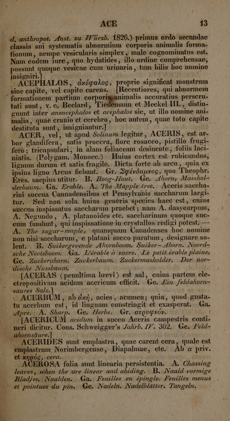 d; arithropot. Anst. zu: JVürzb. 1826.) primus ordo secundae . classis sui systematis abnormium corporis animalis forma- - ^ fionum, nempe vesicularis simplex , male cognominatus est. Nam eodem iure quo. hydatides , illo ordine comprehensae, possunt quoque.vesicae cum urinaria , tum bilis hoc nomine . amsigniri.] (tont m EET E. ACEPHALOS, cxégaloc, proprie significat monstrum . sine capite;- vel eapite carens. [Kecentiores; qui abnormem formationem partium corporissanimalis accuratius perscru- . fati sunt, v. c. Beclard, l'iedemann et. Meckel HL , distin- guunt inter anencephalos et acephalos sic, ut illo nomine ani- malia, quae eranio et cerebro, hoc autem, quae toto capite destituta sunt, insigniantur.] |. . n ' | ^ACER, vel, ut apud SoZinum legitur, ACERIS, est ar- bor glandifera, satis procera, flore rosaceo, pistillo frugi- . fero; tricapsulari; in alam foliaceam- desinente , foliis laci- niatis. (Polygam. Monoec.) Huius cortex est. rubicundus, lignum durum et satis fragile. Dicta forte ab arcu , quia ex ipsius ligno Arcus fiebant. .. Gr. Xpéroauroc, quo 'Fheophr. Eres. saepius utitur. B. Hoog-out. Ge. I4horn, Masshol- derbaum. Qa. FErable...A; The Mapple tree. .Aceris saccha- rini suceus Cannadensibus. et Pensylvanis saccharum largi- - tur. Sed non sola. huius. generis species haec est, euius succus inspissatus saccharum praebet ; nain. A. dasyearpum, A. Negundo, A. platanoides ete. saecharinum quoque suc- eum fundunt, qui inspissatione in erystallos redigi potest. — A. The sugar-maple, quamquam Canadenses hoc nomine non nisi'saccharum , e platani succo paratum , designare so- lent. B. Suzkergevende Ahornboom. Suiker- Ahorn. INoord- sche Nooteboom. |. (3a. L/érable à &amp;ucre. Lé petit érable plaine, . Ge. Zuckerahorn. Zuckerbaum. . Zuckermasholder. ..Der. nor- J dische Nussbaum. ! ? . [ACERAS (penultima brevi) est sal, cuius partem ele- etropositivam acidum acericum efficit, Ge. Ez» fe/dahorn- saures Salz.] |. | toss - ACERBUM , ab x7), acies, acumen; quia, quod gusta- tu acerbum est, id linguam constringit et exasperat. | Ga. pré. |. A. Sharp. | Ge. erbe. | Gr. ovQvqwo». .. -'[ACERICUM acidum in succo Aceris campestris conti- /.— meri dicitur. Cons. Schweigger's Ja/Zrb. /7. 302. Ge. Ped- - ahornsüure.] |. | - ACERIDES sunt emplastra, quae carent cera, quale est . emplastrum, Norimbergense,. Diapalmae, ete. Ab c priv. et x290c, cera. sd -.ACEROSA folia. sunt linearia persistentia. A. CAassing leaves, mhen the are linear and abiding. B. .Naald vormige JBladjes. . Naalden. .. «4a. Feuilles en épingle. Feuilles menus et pointues du pin. Qe. INadeln. INadelblátter. Tangein. se ,