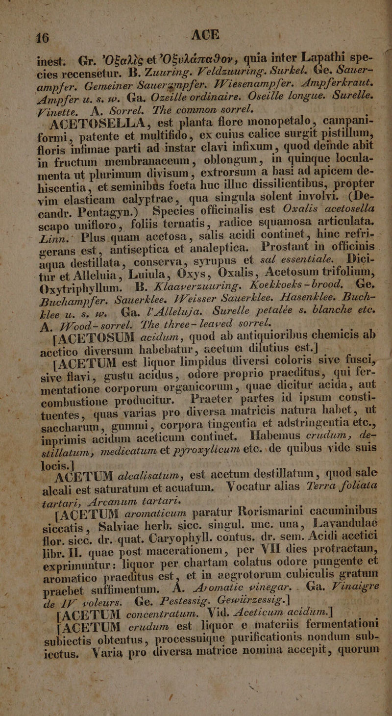 i cies recensetur. B. Zuuring. Feldzuuring. Surkel. Ge. Sauer- ampfer. Gemeiner Sauerampfer. JV iesenampfer.. Ampferkraut. 6 c -—— Finette, |. A. Sorrel. Thé common sorrel. | formi, patente et multifido, ex cuius calice surgit pistillum, floris infimae parti ad instar clavi infixum , quod deinde abit in fructum. membranaceum ,' oblongum, in quinque locula- menta ut plurimum divisum , extrorsum a basi ad apicem de- hiscentia, et seminibüs foeta huc illuc dissilientibus, propter vim elasticam ealyptrae, qua singula solent involvi. .(De- candr. Pentagyn.) Species officinalis est Oxa/is acetosella scapo unifloro , foliis ternatis, radice squamosa articulata. tur et Alleluia, Luiula, Oxys, Oxalis, Acetosum trifolium, Buchampfer. Sauerklee. JWeisser Sauerklee. Hasenklee. Buch- lle u. 8. m. Qa. JAlleluja. . Surelle petalée s. blanche etc. A. JF ood - sorrel. The three- leaved. sorrel. acetico diversum habebatur, acetum dilutius est.] - |. - - gwe flavi, gustu acidus, odore proprio praeditus, qui fer- mentatione corporum organicorum , quae dicitur acida, aut combustione producitur. Praeter partes id ipsum consti- -tuentes, quas varias pro diversa matricis natura habet, ut saccharum, gummi, corpora tingentia et adstringentia eto., inprimis acidum aceticum. continet. LHiabemus erudum, de- a locis.] ; | | — ACETUM alcalisatum, est acetum destillatum , quod sale . aleali est saturatum et acuatum. Vocatur alias Terra foltata dartari, Arcanum tartarí. TUS 4 flor. sicc. dr. quat. Caryophyll. contus. dr. sem. Acidi acetici ^ Jibr. II. quae post macerationem, per VII dies protractam, | exprimuntur: liquor per chartam colatus odore pungente et y de JF. voleurs. Ge. Pestesstg. Gemiürzessig.] [ACETUM concentratum. Vid. zAcetzcum aci dum.] -. subiectis obtentus, processuique purificationis nondum sub- - -—
