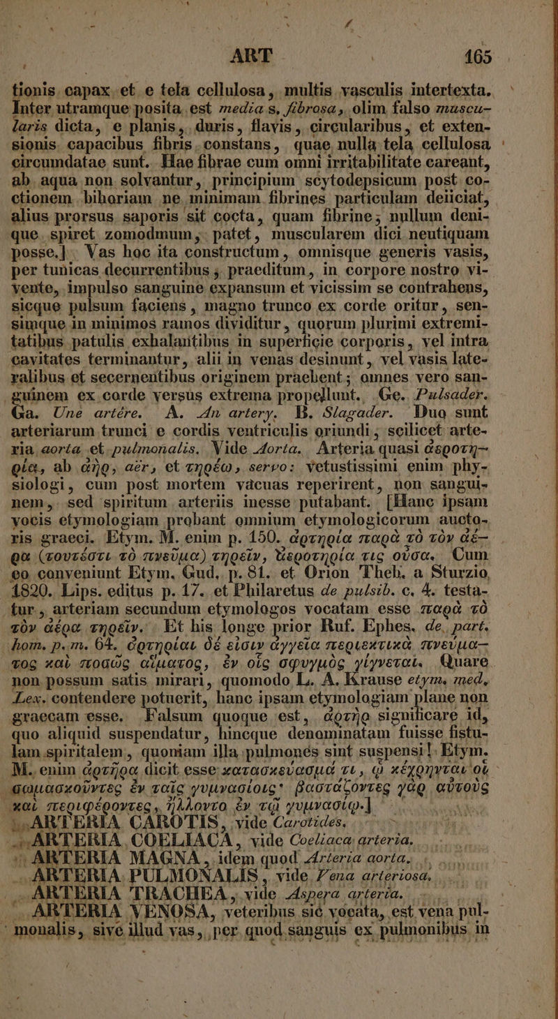 [! ART | 165 tionis. capax et. e tela cellulosa , multis vasculis intertexta. ' Inter utramque posita. est 7zedza s, fibrosa ,. olim falso zmuscu- aris dicta, e planis, duris, flavis, circularibus, et exten- sionis. capacibus fibris.constans, quae, nulla tela cellulosa : circumdatae sunt... Hae fibrae cum omni irritabilitate careant, ab. aqua non solvantur, principium scytodepsicum post. co- ctionem . biboriam .ne. minimam. fibrines particulam deiiciat, alius prorsus. saporis sit cocta, quam fibrine; nullum deni- que. spiret zomodmum,. patet, muscularem dici neutiquam pesse.]. Vas hoc ita constructum , omnisque generis vasis, per tunicas decurrentibus ;. praeditum , in corpore nostro vi- vente, impulso sanguine expansum et vicissim se contrahens, sicque pulsum faciens , magno trunco ex corde oritur, sen- simque in minimos ramos dividitur, quorum plurimi extremi- tatibus patulis exhalautibus in superficie corporis, vel intra, cavitates terminantur, alii in venas desinunt ,. vel vasis late- ralibus et secernentibus originem praebent; omnes vero san- guinem ex corde versus extrema propellunt. |. Ge... Pzsader. Qa. Une artére. A. .4n artery, B. S/agader. Duo sunt arteriarum trunci e cordis ventriculis oriundi; scilicet arte- ria. aorta et .pulmonalis, Vide orta. . Arteria quasi d8p0Tn- oia, ab. à, aér, et zmyoéc , serro: vetustissimi enim phy- siologi, cum post mortem vaàcuas reperirent, non sangui- nem,. sed spiritum arteriis inesse putabant. [Hanc ipsam vocis etymologiam probant omnium etymologicorum aucto- ris graeci. Etym. M. enim p. 150. dovgolo ragd 70 zóy aé— Qu (zovzóoTL tÓ zyeUuct) vngeiv, tegovnolto. v.g ovoc, Cum eo conveniunt Etym. Gud, p. 81. et Orion 'Theh. a Sturzio, 1820. Lips. editus p. 17. et Philaretus de pu/szb. c. 4. testa- -fur., arteriam secundum etymologos vocatam esse zreod 7Ó Xü» àéoc vmo&amp;v. Et his longe prior Ruf. Ephes. de. part. | hom. p.n. 04, dgvnoiau Od eiouv &amp;yyeio meguexvuxd, mvvevpLo— vog xai 700006 GierOg, &amp;v oig OQvyuOg yiyvevot, Quare non possum satis mirari, quomodo L. A. Krause etym. med, Lex. contendere potuerit, hanc ipsam etymologiam plane non graecam esse, Falsum quoque est, dno significare id, quo aliquid suspendatur, hincque denominatam fuisse fistu- lam spiritalem, quoniam illa pulmones sint suspensi! Etym. M. enim 4927/94 dicit esse xozaoxsvouo zu, q xéxonveau ot - anuacxobvreg &amp;v vic yvuraototc* Becvatorveg yàg QUvoUG »XQL 7teQuQégovzeg ,. 7]4Aovvo &amp;v vq) yvuvaoto-] drei PLSARTERÍIA CAROTIS, vide Carotides, |. - 5; ARTERIA | COELIACA, vide CoeZaca arteria. . /ARTERIA MAGNA , idem quod Zr/ería aora, -ü j^ TERIA. PULMONALIS , vide. Z/ena arteriosad, —.— . ARTERIA 'TRACHEA , vide spera ater. . ARTERIA VENOSA, veteribus sié voeata, est vena pul. : monalis, sive illud vas, per quod sanguis ex pulmonibus in