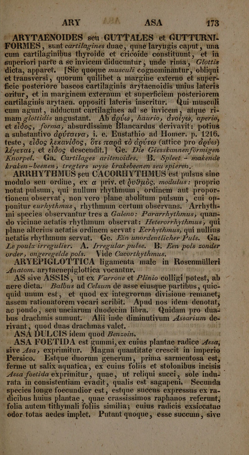 ' ARYTAENOIDES seu.GUT'T ALES et GUT TURNI- FORMES, sunt carti/agines duae, quaé laryngis caput, una vum cartilaginibus thyroide et cricoide constituunt, et in superiori parte a se invicem diducuntur; unde rinia', 'GZotts dicta, apparet. [Sie queque zuzscz cognominantur , obliqui ettransversi, quorum quilibet a margine externó et super- ficie posteriore baseos cartilaginis arytaenoidis unius lateris oritur, et in marginem externum et superficiem posteriorem cartilaginis arytaen. oppositi lateris inseritur. Dui mnsed cum agunt, adducunt cartilagines ad se invicem, atque ri- mam 27oztidis angustant. Ab dovc, Aauriío, Gvotyt, uperio, eteidoc, forma; absurdissime Bnanésrdus derivayit: potius a substantivo dov?étvo, 1. e. Eustathio ad Homer. p. 1216. teste, eidog AexaviOog, Ott teg «0 oro (attice pro doo) Aéyevat, et ti0og descendit.] Ge. Je Géesskannenfürmisen Knorpel.- Ga. Cartilages: aritenoides. 13. Spleet: — makende kraken -beenen ,; tregters seyse brakebeenen seu spieren, ^ ^ 5 J. ARRHYTHMUS seu CACORHY'THMUS est pulsus sin modulo seu ordine, ex « priv. et 9v9uó0c, modulus: proprie notat pulsum, qui nullum rhythmum , ordinem àut propor- tionem observat , non vero plane abolitum pulsum , cui op- ponitur eurAythmus, rhythmum certum observans. Arrhyth- mi species observantur tres a GaZeno: Pararrhythmus, quan- do vicinae aetatis rhythimum observat: ZZeterorrhythmus, qui plane alterius aetatis ordinem servat: EcrAyt^mus, qui nullius . aetatis rhythinum servat, Ge. Ein unordentlicher Puls. Gai — LLe poulx irregulier. A. frregular pulse. B. .Eem pols zonder order, onsereselde pols. . Vide Cacorthythmus. Foy maromos ARYEPIGLOT'TICA ligamenta male in Rosenmülleri zdnatom. arytaenepiglottica vocantür, ^ E ^ AS sive ASSIS , ut ex /arrone et Plinio colligi potest, ab aere dicta. | Zalbus ad Celsum de asse eiusque partibus , quic- quid. unüm est, et quod ex integrorum divisione remanet; - assem rationatorem vocari seribit. ^ Apud nos idem denotat, ac pondo, seu uneiarum duodecim libra. ^ Quidam pro duas | bus drachmis sumunt. | Alii inde diminutivum 44ssariíuz de- rivant, quod duas drachmas valet. . a0 gii] ^ ASÀ DULCIS idem quod Zenzozn, turns ' « ASA FOETIDA est gummi,ex cuius plantae radice 745sa; sive 44sa, exprimitur. Magna quantitate crescit in imperio Persico. Estque duorum generum, prima sarmentosa est, ferme ut salix aquatica, ex cuius foliis et stolonibus incisis - z4ssa foetida exprimitur, quae, ut reliqui sucei, sole indu- rata in consistentiam evadit, qualis est sagapeni,' Secunda species longe foecundior est, estque succus expressus ex ra- - dicibus huius plantae , quae crassissimos raphanos referunt; folia autem tithymali foliis similia; cuius radicis exsiecatae odor totas aedes implet. Putant quoque, esse succum, sive