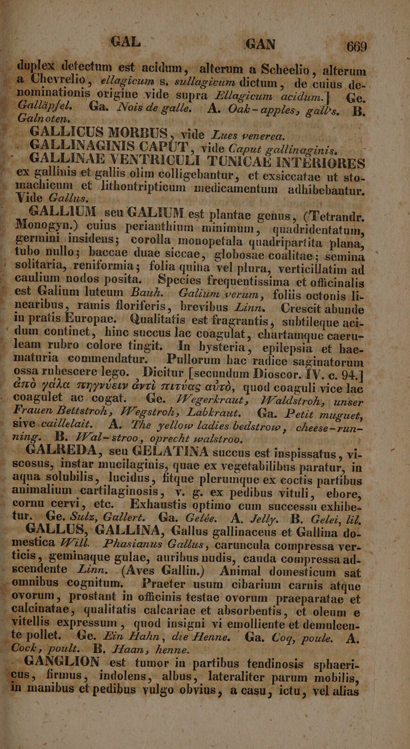 ,,di XY c LE a $7. 5 E M An Nd ü B » &amp; Ühevrelio, eJagicum s, sullagicum dictum , de cuius. de- .. nominationis origine vide supra JZagicum acidum.]| e. » Gallüpfel. a. Nois de galle. | A. Oak - apples, galbs... Bo. | Galnoten. | | TOU ilo. eam ^. GALLICUS MORBUS , vide Lues venerea. , | |o* GALLINAGINIS CAPÜT,, vide Caput gallinaginis, ..— «t «GALLINAE VENTRICULI TUNICAE INTERIORES - ex gallinis et.gallis olim colligebantur, et exsiccatae ut sto- » machicum et lithontripticum medicamentum adhibebantur. - Vide Gallus. na Po y CTüodeilf due cd -. . GALLIUM. seu GALIUM est plantae genus, (l'etrandr. . Monogyn.) cuius perianthium minimum , :quadridentatum, - germini insidens; corolla monopetala. quadripartita plana, / solitaria, reniformia; folia quina vel plura, verticillatim ad  caulium nodos posita. | Species frequentissima -et offücinalis |.est Galium luteum Bauh. | Galium verum, foliis. octonis li- . nearibus, ramis floriferis, brevibus zu». Crescit abunde , in pratis Europae. ' Qualitatis. est fragrantis, sübtileque aci- ,' dum continet, hinc succus lac coagulat, chartamque caeru- . leam rubro colore tingit, n hysteria, epilepsia et hae- - maturia eommendatur. Pullorum hac radice saginatorum . oessarubescerelego. Dicitur [secundum Dioscor. ÍV. c. 94.] /« €m0 ydo. stQyvUst vri rtvtUOG aO, quod coaguli vice lac E coagulet ac cogat. |. Ge. JZFegerbraut, aldstroh;,: unser Frauen. Bettstroh, I'egstroh, Labkraut. |. Qa. Petit. muguet, ' sive.cai/lelait. —.A. The yellow ladies bedstrozo , cheése-run- ning. D. JWal-stroo, oprecht walstroo. | n . Scosus, instar mucilaginis, quae ex vegetabilibus paratur, in . aqua solubilis, lucidus, fitque plerumque ex coctis partibus , animalium -cartilaginosis, v. g. ex pedibus vituli, ebore, ' eornu cervi, etc. Exhaustis optimo cum successu exhibe- tur... Ge. Su/z, Gallert. Ga. Gelde. A. Jelly. B. Gelei, lil. GALLUS, GALLINA, Gallus gallinaceus et Gallina do- . ticis, geminaque gulae, auribus nudis, cauda compressa ad- . scendente Zn». (Aves Gallin. Animal domesticum sat Cry C€ognitum. Praeter usum cibarium carnis atque | ovorum, prostant in officinis testae ovorum praeparatae et . ealeinatae, qualitatis calcariae et absorbentis, et oleum e - vitellis expressum , quod insigni vi emolliente et demulcen- - Cock, poult.. B. Haan, henne. Ves | —' GANGLION est. tumor in partibus tendinosis sphaeri- 7eus, firmus, indolens, albus, lateraliter parum mobilis, manibus et pedibus vulgo obvius, a casu, ictu, vel alias