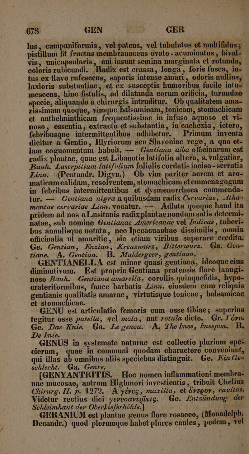 lus; campaniformis ,' vel patens, vel tubulatus et multifidus ;- pistillum fit fructus membranaceus ovato - acuminatus , hut us d vis, unicapsularis, cui insunt semina marginata et rotunda, coloris rubicundi. Radix est crassa, longa , foris fusca, in- tus ex flavo rufescens, saporis intense amari , odoris nullius, laxioris substantiae; et ex susceptis humoribus facile lata mescens, hino fistulis, ad dilatanda eorum orificia, turundae specie, aliquando a chirurgis intruditur. Ob qualitatem ama- rissimam quoque, vimque balsamicam, tonicam, stomachicam et anthelminthicam frequentissime in infuso aquoso et vi- noso, essentia, extracto et substantia, in'cachexia, ictero, febribusque intermittentibus adhibetur. ^ Primum Inventa . dicitur a Gentio, Illyriorum seu Slavoniae rege, a quo et- - iam cognomentum habuit, — —Genziana aiba otüicinarum est radix plantae, quae est Libanotis latifolia altera, s. vulgatior, Bauh. Laserpitium latifolium foliolis cordatis inciso - serratis Linn. ^ (Pentandr. Digyn.) Ob vim pariter aerem et aro- maticam calidam, resolventem, stomachicam et emmenagogam in febribus intermittentibus et dysmenorrhoea commenda- tur. — Gentiana nigra a quibusdam radix Cervariae, 44tha- mantae cervariae Linn, vocatur. —.. Adlata quoque haud ita pridem ad nos a Lusitanis radix plantae nondum satis determi- natae, sub nomine Gen£ianae 44mericanae vel Indicae , tuberi- bus annulisque notata, nec Ipecacuanhae dissimilis , omnia offcinalia ut amaritie, sic etiam viribus superare credita. Ge. Gentian, Enzian, Kreuzwurz, Bitterwurz. €&amp;a. Gen- &amp;ane. AA. Gentian. B. Maldergeer, gentiaan, ———— ». . J.GENTIANELLA ést minor quasi gentiana, ideoque eius diminutivum. Est proprie Gentiana pratensis flore lanugi- noso Bauh. Gentiana amarella, corollis quinquefidis, hypo- crateriformibus, fauce barbatis Zinz. eiusdem cum reliquis gentianis qualitatis amarae, virtutisque tonicae, balsamicae et stomachicae. ; 6 notus GENU est articulatio femoris cum. osse tibiae; superius tegitur osse patella, vel mola, aut rotula dicto. Gr. F'órv. Ge. Das Knie Ga. Le genou. /A. Te knee, kneepon. B. De nie. NT j acu ot GENUS in systemate naturae est colleotio plurium spe-. cierum, quae in communi quodam charactere conveniunt, ui illas ab omnibus aliis speciebus distinguit. Ge. Ein Ge- schlecht. Ga. Genre. /g*sqgir vo Set [GENYANTRITIS. Hoe nomen inflammationi membra- - nae muocosae, antrum Highmori investientis , tribuit Chelius Chirurg. IJ. p. 1979. .. A yévog , maxilla, et àvegov, cavitas. Videtur rectius dici y&amp;vvoavrgitig. Ge. Entzündung. der Schleimhaut der Oberkieferhóhle.] bj : mods GERANIUM est plantae genus flore rosaceo, (Monadelph.. Decandr.) quod plerumque habet plures caules, pedem, vel /