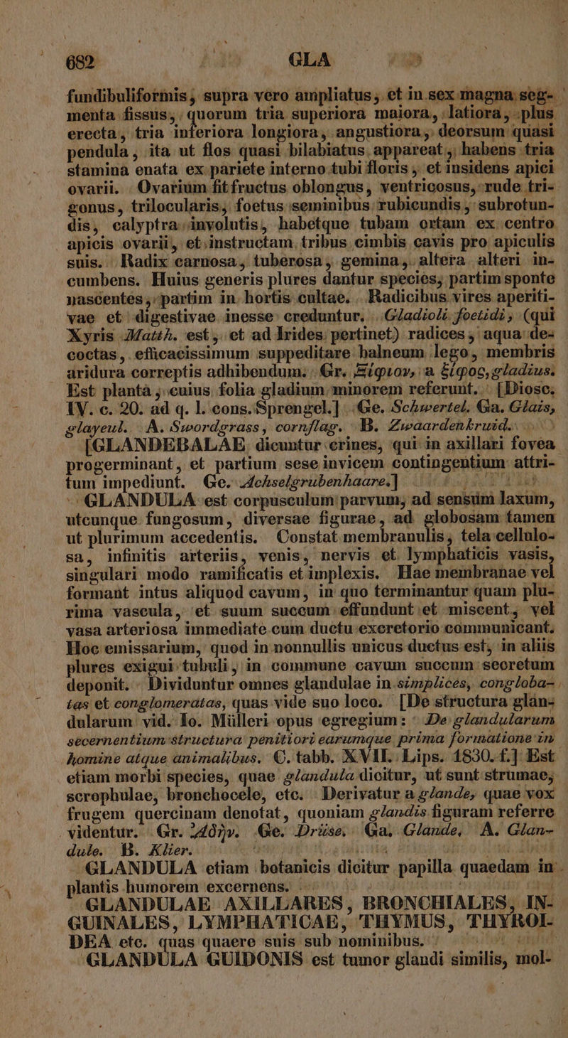 fundibuliformis , supra vero ampliatus ;. et in sex magna seg. menía fissus; . T perin tria superiora maiora, .latiora, plus. erecta, tria inferiora longiora , angustiora ,. deorsum quasi pendula , ita ut flos quasi bilabiatus. appareat; habens tria stamina enata ex pariete interno tubi floris ;. et insidens apici ovarii. . Ovarium fitfructus oblongus, ventricosus, rude tri- gonus, trilocularis, foetus seminibus rubicundis ,: subrotun- dis, calyptra.involutis, habetque tubam ortam ex centro apicis ovarii, et;instructam. tribus cimbis cavis pro apiculis suis. Radix carnosa, tuberosa, gemina, altera alteri in- cumbens. Huius generis plures dantur species; partim sponte nascentés ;; partim in. bortis cultae. . Radicibus vires aperiti- vae et digestivae. inesse: creduntur, |. GZadio/i. foetidz ; (qui Xyris Jah. est, et ad lrides: pertinet) radices , aqua de- coctas , . efficacissimum suppeditare balneum. lego, membris — aridura correptis adhibendum. . Gr. /&amp;igov, a 5igoc,gladzus. Est plantà j:cuius. folia gladium minorem referunt. '. (Diosc; IV. c. 20. ad q. 1. cons. Sprengel.] Ge. ScAzerteL. Ga. Glazs, glayeul...A. Swordgrass, cornflag. B. Zwaardenkruid.. [GLANDEBALAE . dicuntur crines, qui in axillari fovea progerminant, et partium sese invicem contingentium: attri-- fum impediunt. Ge. J4eAselgrubenAaare.] Eg ech d dd -GLANDULA est corpusculum: parvum; ad sensum laxum, utcunque. fungosum, diversae figurae, ad globosam tamen ut plurimum accedentis. Constat membranulis, tela cellulo- sa, infinitis arteriis, venis, nervis et lymphaticis vasis, singulari modo ramificatis et implexis. Hae membranae vel formant intus aliquod cavum, in quo terminantur quam plu-. rima vaseula, et suum suceum effundunt et miscent, vel vasa arteriosa immediate.cum ductu excretorio communicant, . Hoc emissarium, quod in nonnullis unicus duetus est, in aliis plures exigui: tubuli, in commune cavum succum. seoretum deponit. - Dividuntur omnes glandulae in.szmp/ces, congZoba- . tas et conglomeratas, quas vide suo loco. [De structura glán- dularum: vid. 1o. Mülleri opus egregium: * De glandularum secernentium- structura: penitiori earumque prima formatione in. Komine atque animalibus, €. tabb. X VIL. Lips. 1830. f.] Est etiam morbi species, quae 27andula dioitur, ut sunt strumae; scrophulae, bronchocele, etc. ..Derivatur a gZande, quae vox frugem quercinam denotat, quoniam 97andis figuram referre videntur. Gr. 2402». Ge. Drüse;.. Ga. Glande, A. Glan- dule; ^ 1. Aero nieto iua 14:03 UM AME GLANDULA etiam | botanicis dicitur papilla quaedam in . plantis.humorem excernens. |... 50000 0070000 0 GLANDULAE AXILLARES, BRONCHIALES, IN- GUINALES, LYMPHATICAE, 'THYMUS, THYROI- DEA etc. quas quaere suis sub nominibus. | | ^  GLANDULA GUIDONIS est tumor glandi similis, mol--