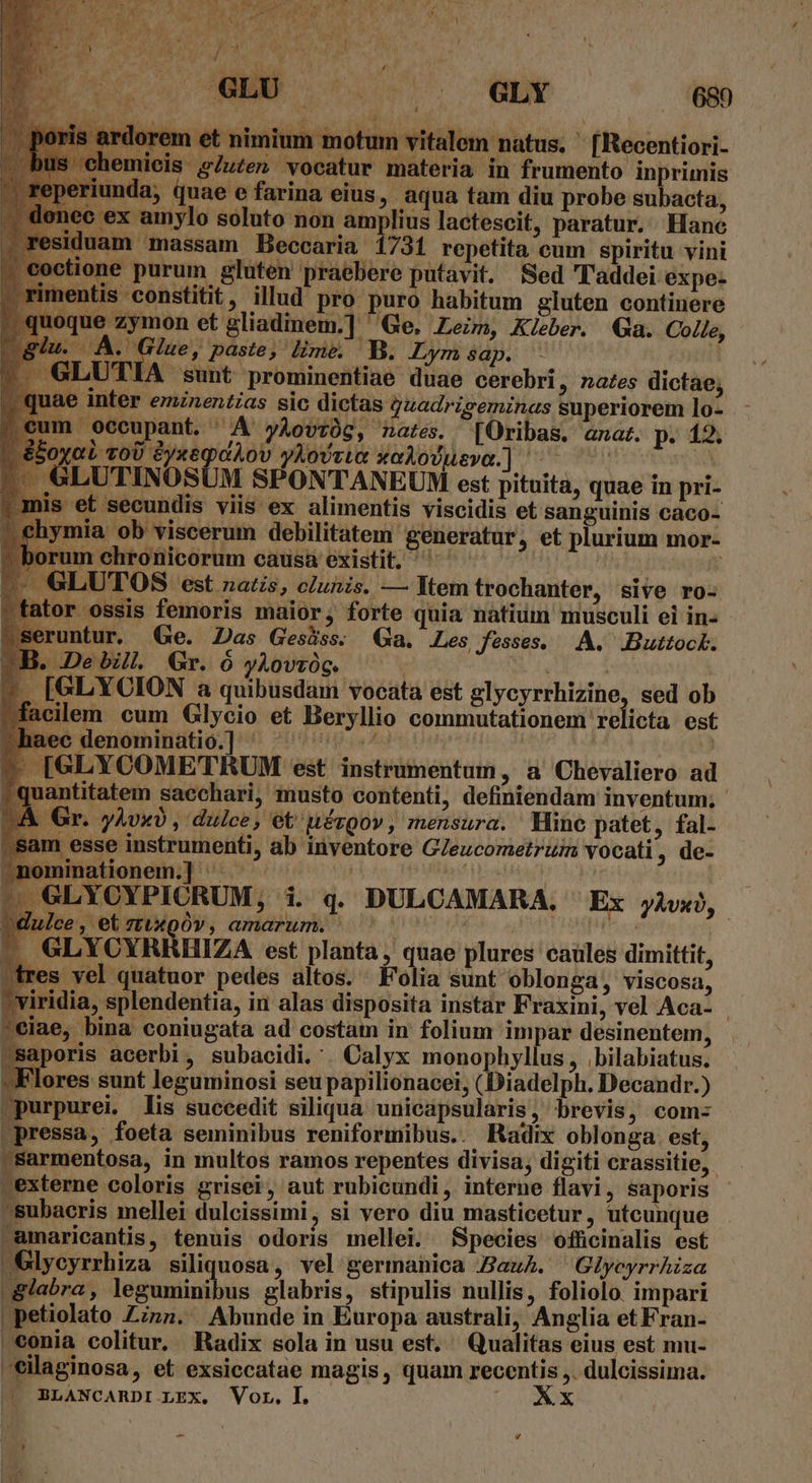 et nimium motum vitalem natus. ' [Recentiori- micis s7uten vocatur materia in frumento inprimis mda, quae e farina eius, aqua tam diu probe subacta, ex amylo soluto non amplius lactescit, paratur. Hane uam massam Beccaria 1731 repetita cum spiritu vini one purum gluten praebere putavit. Sed 'laddei expe- ments constitit, illud pro puro habitum gluten continere » quoque zymon et gliadinem.] ' Ge. Leim, Kleber. Ga. Colle, [ . A. e , paste, lime. B. Lym $ap. - et -. GLUTIA sunt prominentiae duae cerebri, nates dictae; quae inter eminentias sic dictas gzadriseminas superiorem lo- | eccupant. ^A yàAovzüg, nates. [Oribas. ana. p. 12. aL coU &amp;yxegtAov yAoveie xoAovueva.] ^ c | TINOSUM SPONTANEUM est pituita, quae in pri- et secundis viis ex alimentis viscidis et sanguinis caco- ymia ob viscerum debilitatem generatur, et plurium mor- um chronicorum causa existit, ^ UTOS est natis, clunis. — Item trochanter, sive ro- ossis femoris maior, forte quia natium musculi ei in- untur. Ge. Das Gesiss. Qa. Les fesses. A. Buttock. De bill. Gr. ó yAovróg. eri GL YCION a quibusdam vocata est glycyrrhizine, sed ob ilem cum Glycio et Beryllio commutationem relicta est ee denominatio.] ^ ^ ^ ^ ^ ' | u [GLYCOMETRUM est instrumentum, a Chevaliero ad uantitatem sacchari, musto contenti, definiendam inventum; Gr. yÀvx) , dulce, et'uérgov, mensura. Hine patet, fal- m esse instrumenti, ab inventore GZeucometrum vocati, de- inationem.] ^ «LYOYPICRUM,; i. q. DULCAMARA. Ex yàivx), luice, et tuxoÓ0v, amarum. ^ E. 9 . GLYCYRHHIZA est planta, quae plures caules dimittit, tres vel quatuor pedes altos. f'olia sunt oblonga, viscosa, ?viridia, splendentia, in alas disposita instar Fraxini, vel Aca- - 'eiae, bina coniugata ad costam in folium impar desinentem, saporis acerbi, subacidi.'. Calyx monophyllus, .bilabiatus. Flores sunt leguminosi seu papilionacei, (Diadelph. Decandr.) urpurei, lis succedit siliqua unicapsularis, brevis, com: ressa, foeta seminibus reniformibus. , Radix oblonga. est, sarmentosa, in multos ramos repentes divisa; digiti crassitie,. manm coloris grisei, aut rubicundi, interne flavi, saporis subacris mellei dulcissimi, si vero diu masticetur , utcunque amaricantis, tenuis odoris mellei. Species officinalis est Glycyrrhiza siliquosa, vel germanica ZazA. Glyoyrrhiza - glabra , Tepbübaliniiós glabris, stipulis nullis, foliolo. impari |petiolato Zinn. Abunde in Europa australi, Anglia et Fran- conia colitur. Radix sola in usu est. Qualitas eius est mu- eilaginosa, et exsiecatae magis, quam recentis , dulcissima. | SLANCARDI Lzx. Vor. I. S. e - LA ' kW