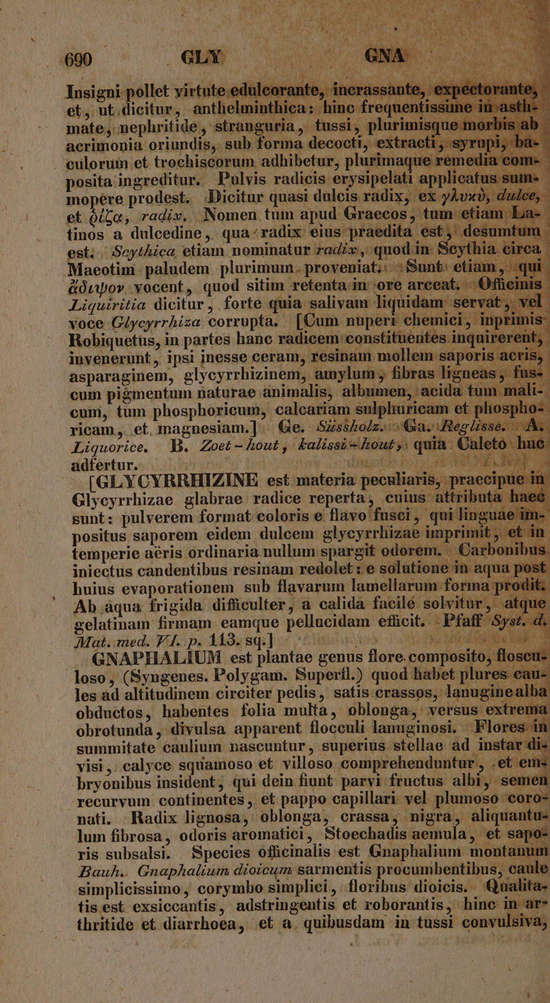 Insigni pollet virtute.edulcor: et, ut.dicitur, anthelminthica: hinc fi mate, nephritide , stranguria , tussi, : mis acrimonia oriundis,. sub forma decocti, extract . eulorum et trochiscorum adhibetur, plurimaque rer posita ingreditur. Pulvis radicis erysipelati applica mopére prodest. Dicitur quasi dulcis radix, ex yÀvx et oi5a, radix, Nomen tum apud Graecos tinos a dulcedine ,. qua: radix eius praedita est... Seythica, etiam n ominatur radix, quod 1n. Sc Maeotim - paludem. plurimum. proveniat; .: Sunt: eti: &amp;ÓLo». vocent, quod sitim retenta.in 'ore arceat. Liquiritia dicitur , forte quia salivam liquidam. sen voce Giycyrrhiza corrupta. | [Cum nuperi chemici, inj Robiquetus, in partes hano radicem constituentes inquir: invenerunt , ipsi inesse ceram, resinam mollem saporis asparaginem, eglycyrrhizinem, amylum ; fibras lignea cum pigmentum naturae animalis, albumen, acida tur cum, tum phosphoricum, caleariam sulphuricam et ph ricam, et magnesiam.] | Ge. Sissholz.. 1a. Reg lisse Liquorice. B. Zoet -hout , - &amp;alissi - hout quia aleto hue adfertur. nes codi hor M RE PRIN [GLYCYRRHIZINE est materia peculiaris, praecipue im Glycyrrhizae glabrae radice reperta, cuius attributa hae. gunt: pulverem format coloris e flavo fusci, qui linguae im- positus saporem eidem dulcem glycyrrhizae imprimit . et in ES m nati, Radix lignosa, oblonga, crassa, nigra, aliquantu- lum fibrosa, odoris aromatici, Stoechadis aemula, et sapo- yis subsalsi. Species ofücinalis est Gnaphalium montanum Bauh.. Gnaphalium dioicum sarmentis procumbentibus, caule simplicissimo, corymbo simpliei, floribus dioicis. Qualita- tis.est exsiccantis, adstringentis et roborantis, hinc [rn e, 9 La EIS M - v. oM D. i thritide et diarrhoea, et a. quibusdam in tussi convulsiva;