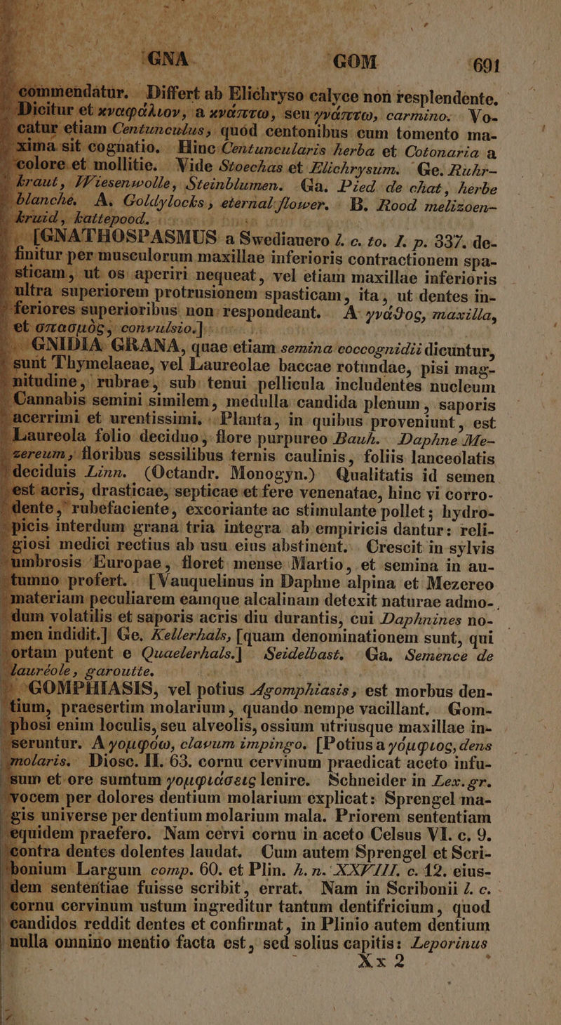 A ae ut, it ( idi » n. QM l i ^ e cod  A, yv a P LT E i atur. Differt ab Elichryso calyce non resplendente, - re xvoqaáuov, a XYOTUTO ,. Seuwva7vo, carmino. .Vo- am Cenzunculus, quód centonibus cum tomento ma- cognatio, Hine:Cenzuneularis herba et Cotonaria à et mollitie. Vide SzoecAas et JEchrysum. | Ge. RuAr— ut y. IFP'tesenswolle, Steinblumen. a. Pied. de chat, herbe anché, A. Goldylocks , eternal.flower. : B. Jtood melizoen- E bUBPo6d, acsi busa wt | X[GNATHOSPASMUS a Swediauero Z c. £o. 7. p. 937. de- fin itur pe musculorum maxillae inferioris contractionem spa- 1cam , ut os aperiri nequeat, vel etiam maxillae inferioris a superiorem protrusionem spasticam, ita, ut dentes in- es superioribus non: respondeant. A yva2og, maxilla, 7LG0HÓG, convulsio.] | Mas j NIDIA. GRANA, quae etiam semina coccognidii dicuntur, t Thymelaeae, vel Laureolae baccae rotundae, pisi mag- dine, rubrae, sub. tenui pellicula includentes nucleum. nabis semini similem, medulla:candida plenum , saporis mi et urentissimi. .. Planta, in quibus proveniunt, est 'ola folio deciduo; flore purpureo Bauh... Daphne Me- ze ; floribus sessilibus ternis caulinis, foliis lanceolatis deciduis zz. (Octandr. Monogyn.) Qualitatis id semen. est acris, drasticae, septicae et fere venenatae, hinc vi corro- ente , rubefaciente, excoriante ac stimulante pollet; hydro- is interdum grana tria integra ab empiricis dantur: reli- iosi medici rectius ab usu eius abstinent... Crescit in sylvis mbrosis Europae, floret. mense Martio, et semina in au- imno profert. [Vauquelinus in Daphne alpina et Mezereo iateriam peculiarem eamque alcalinam detexit naturae adimo- , volatilis et saporis acris diu durantis, cui DapAnznes no- indidit.] Ge. KeZerAa/s, [quam denominationem sunt, qui am putent e QuaeZerAais.] ^ Seideibast. Qa. Semence de uréole, garoutte. |^ ; : ^GOMPHIASIS, vel potius 4gompAzasis, est morbus den- lum, praesertim molarium , quando nempe vacillant, Gom- si enim loculis, seu alveolis, ossium utriusque maxillae in- untur. A yougoo, clavum impingo, [Potiusa yóugtoc, dens aris. Diosc. IL. 63. cornu cervinum praedicat aceto infu- n et-ore sumtum youguécetg lenire. Schneider in Zex. gr. em per dolores dentium molarium explicat: Sprengel ma- universe per dentium molarium mala. Priorem sententiam [iidem praefero. Nam cervi cornu in aceto Celsus VI. c. 9. ntra dentes dolentes laudat. Cum autem Sprengel et Scri- ium Largum corp. 60. et Plin. 4. n. XXE 11. c. 12. eius- 1 sententiae fuisse scribit, errat. Nam in Scribonii Z. c. €ornu cervinum ustum ingreditur tantum dentifricium , quod »eandidos reddit dentes et confirmat, in Plinio autem dentium nulla omnino mentio facta est, sed solius — 3 Leporinus. E- : X