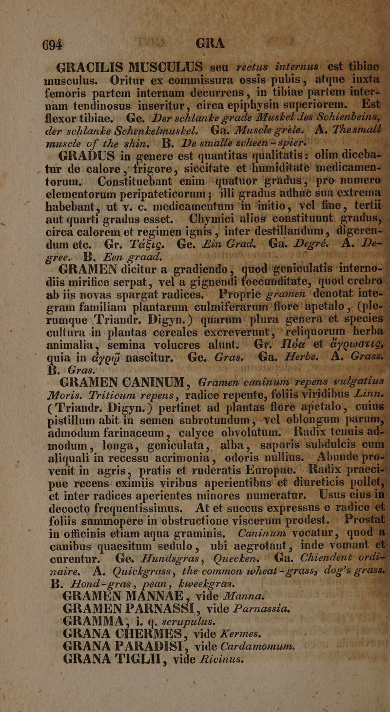 694 /OU c GRA d NA GRACILIS MUSCULUS: seu rectus. infernus est tibiae - musculus. Oritur ex commissura ossis pubis, atque iuxfa | femoris partem internam decurrens, in tibiae partem inter- - nam fendinosus inseritur, circa epiphysin superiorem. | Est flexor tibiae. Ge. JDer schlanke grade Muskel Jes Schienbeins, der schlanke Schenkelmuskel. Gà. Muscle gréle.. A. Thesmall muscle of the shin. B. Desmalle sclieen- spiers ^ LP GRADUS in genere est quantitas qualitatis: olim diceba- . tur de calore , ficte, siecitate et humiditate medicamen- ' torum. Constituebant enim. quatuor gradus; pro numero elementorum peripateticorum ;. illi gradus adhue sua extrema habebant, ut v. c. medicamentun i itio, vel fine, tertii. aut quarti gradus esset... Chymiei alios constituunt gradus; circa calorem et regimen ignis , inter destillandum , digeren- dum etc. Gr. 7Te&amp;g. Ge. Zin Grad. Ga. Deeré. A. : Ded] gree.. B. Een graad. Hoa codon sic TENURE MUR QU E GRAMEN dicitur a. gradiendo, quod genieulatis interno- diis mirifice serpat, vel a gignendi foecunditate, quod crebro ab iis novas spargat radices. Proprie gramen denotat inte-- gram familiam plantarum eulmiferaruin flore apetalo ,. (ple-- rumque 'Triandr. Digyn.) quarum ' plura generá et species. cultura in.plantas cereales excreverunt, reliquorum. herba. animalia, semina volucres alunt. Gr. He et óygwo0vig,. Prag dyoQ nascitur. Ge. Gras. 9a. Herbe. A. Grass. . Gras; | (spe pay uie E GRAMEN CANINUM, Gramen canitium' repens vulgatius Moris. Triticum repens , radice repente, foliis viridibus Anm. - (Triandr. Digyn.) pertinet ad plantas flore apetalo, cuius. pistillum.abit in semen subrotundum ; yel oblongum. parum; admodum farinaceum, calyce obvolutum. Radix tenuis ad-- modum, longa, geniculata, alba, saporis subduleis cum. aliquali in recessu acrimonia, odoris nullius. Abunde pro^ venitin agris, pratis et ruderatis Europae. Radix praecis pue recens. eximiis viribus aperientibus et diüreticis pollet; et inter radices aperientes minores numeratur. Usus eius im decocto frequentissimus. At et succus expressus e radice et. foliis RU c EM obstructione viscerum prodest. Prostat. in officinis etiam aqua graminis, Caninum vocatur, quod m. canibus quaesitum sedulo, ubi aegrotant, inde vomant et. curentur. (Ge. ZHundseras, Quecken. ' Qa. Chiendent ordi. naire. JA. Quicksrass, the common wheat - grass, dog's grass. B. Zond-pras, pean, kbweekoras. a. GRAMEN MANNAE, , vide anna. GRAMEN PARNASSI, vide Parnassza. GRAMMA,, i. q. scrupulus. GRANA CHERMES, vide KXermes. GRANA PARADISI, vide Cardamomuzm. . GRANA TIGLU, vide Zcinus. EX SML WM