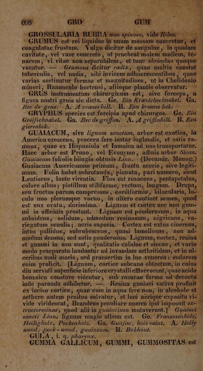 GROSSULARIA RUBRA dos spinosa, «lie dian. x M ju ^GRUMUS est rei liquidae in unam mássam €oncretae ; er^ eoagulatae frustum. Vulgo dicitur de sanguine, in ( quddesk 1 cavitate, vel vase concreto , , ut praebeat olei fei): fe- 43 nacem vi vitae non separabilem ,' et tunc: thrombus quoque . vocatur. — - Grumosa dicitur radix , quae multis constat - tuberculis, vel nodis, sibi invicem. adhaerescentibus , quae - varias sortiuntur formas et magnitudines. , utin Chelidonio 1 minori , Ranuneulo hortensi , aliisque plantis: observatur. ^. GRUS instrumentum chirurgicum. est, sive forceps,. à figura nostri gruis sic dicta. | Ge. Zin Kranichsehnabet. [9 Hee de gruei A. 44 cranes bill. B. Jen braane bebo ^. — GRYPHUS species est foreipis: Sg chirurgos.- - e. par Greifschnabel. 6a. Bec de ggriffont A. M gr Ua B. Een ? géerenbeb. b aun GUAIACUM, sive Jgnum sanctum, arbor est exetttig: in America: crescens, procera fere instar iuglandis, et satis ra- mosa, quae ex Hispaniola et lamaica ad nos transportatur. Haec arbor est Pruno,. vel Evonymo, affinis arbor Sloan. Guaiacum foliolis biiugis obtusis Linn.: | -(Becandr. Monog.) . Guaiacum Americanum primum ;: fructu aceris , sive. legiti- mum.: Folia habet: subrotunda ;: pinnata; pari numero, sieut | Lentiscus, laete virentia. Flos est rosaceus ,. pentapetalus, | colore albus; pistillum stiliforme; rectum; longum. Drupa, seu fructus pàrum compressus y '€ordiformis bilocularis, lo. culo uno plerumque vacuo, in altero continet semen, quod | est nux ovafa, durissima... Li gium ét cortex nec non gum- mi in ofücinis prostant. Lignum: est ponderosum , in desi É subsidens, solidum ,. admodum' resinosum , nigricans, va- riegatum venulis ; ; acris saporis. - Cortex est extus cinereus, | | intus pallidus, subrubescens, quasi lamellosus, non ad- modum densus, sed satis ponderosus. Lignum, cortex, resina . et gummi in usu sunt, aualitatis calidae et siccae; et vario modo praeparata. laudantur ad. iuvandam arthritidem, etin: ceribus mali moris , sed praesertim. in lue .venerea : 8udore | enim. prolicit. . [Lignum, cortice subcano obteetum;in cuius diu servati superficie inferiore erystalli efflerescunt /quáé: aeido | benzoico constare videntur, sub rasurae forma. 'ad' decocta. 1 indé paranda adhibetur. -—.. Resina guaiaci. nativa profluit | ex imeiso cortice, quae eum in aqua fere non, in aleohole « et aethere autem penitus solvatur, et luoi aerique exposita vii vide viridescat, Brandeus peculiare nomen ipsi imposuit ex- tractoresinae , quod alit in guaiacinen mutaverunt.] Guaic cic sancti Linn, lignum magis album est. Ge. Franzosenholz, | Heiligholz, Pockenhola. | Qa. Guajae , bois saint, Ae sies ieond; j Um M , guaiaeum. B Bokfout ACIE dos GULA, i. q. pharynx. ^.- RR VE | GUMMA GAÍ jLICUM, GUMMI, GUMMOSITAS. es |