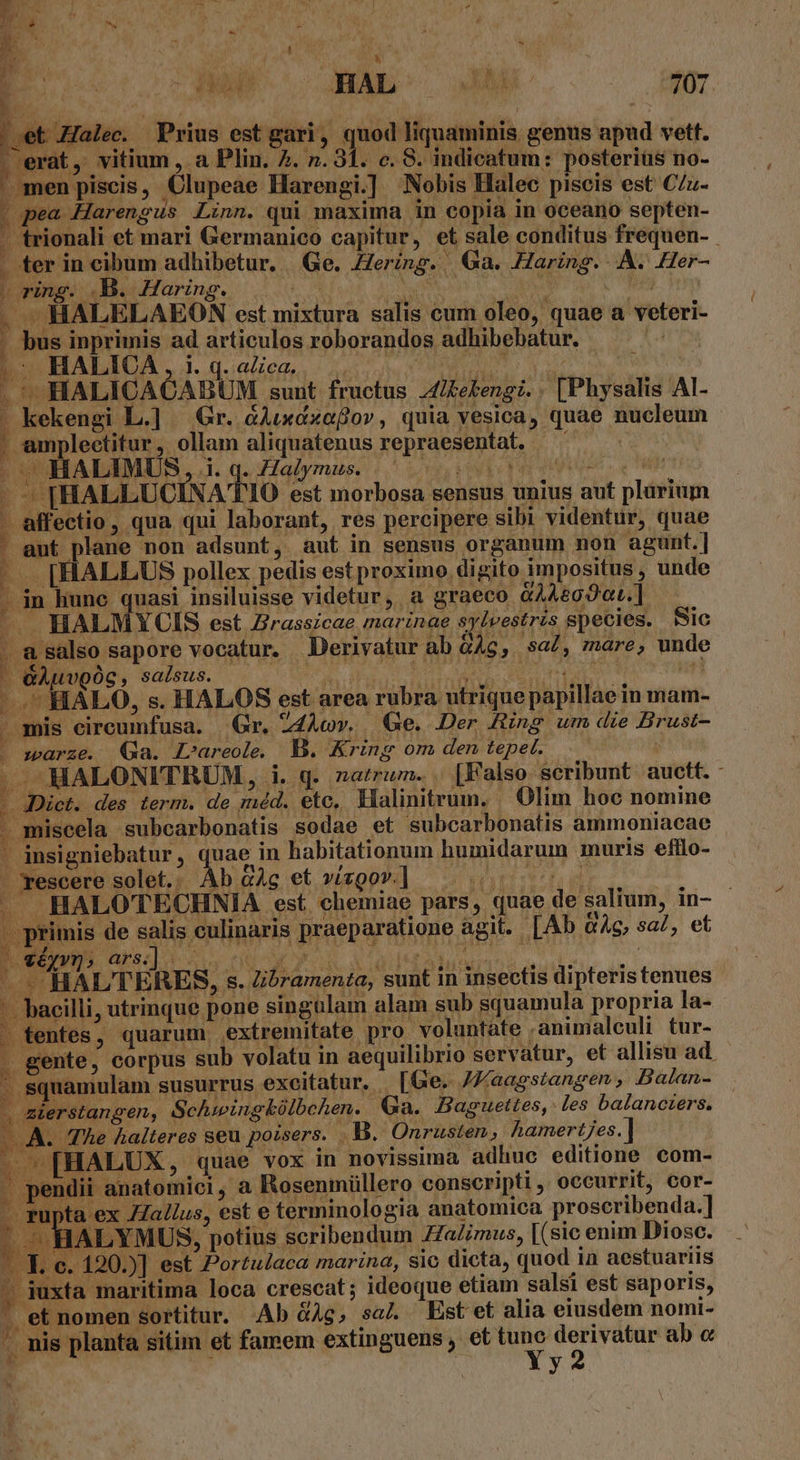 .et.Halec. Prius est gari, quod liquaminis genus apud vett. erat, vitium , a Plin. 7. n. 31. c. S. indicatum: posteriüs no-  men piscis, Clupeae Harengi.] Nobis Halec piscis est C/z- | pea Harengus Linn. qui maxima in copia in oceano septen- . trionali et mari Germanico capitur, et sale conditus frequen- . ter in cibum adhibetur. | Ge. Hering. Qa. Haring. A. Her- bo HALELAEON est mixtura salis cum oleo, quae a veteri- [ bus inprimis ad articulos roborandos adhibebatur.  .— HALICA , 1. q. aZca.  | . ^. HALICACABUM sunt fructus Altekengi. . [Physalis AI- - kekengi L.] Gr. &amp;Auxdxafor, quia vesica, quae nucleum . amplectitur ,. ollam aliquatenus repraesentat. . « HALIMUS, 1i. q. Halymus. | - BHALLUCINA T i 1O est morbosa sensus unius aut plurium - affectio, qua qui laborant, res percipere sibi videntur, quae aut plane non adsunt, aut in sensus organum non agunt.] [HALLUS pollex pedis est proximo digito impositus, unde in hunc quasi insiluisse videtur, a graeco &amp;44£02at.] —. HALMYUIS est Birassicae marinae sylvestris species. SIC 1 a salso sapore vocatur. Derivatur ab &amp;4c,. sa/, mare, unde e«Auvooc, salsus. | V4 UP | LIE . HALO, s. HALOS est area rubra utrique papillae in mam- mis cireumfusa. Gr, Z4Acov. Ge. Der Ring um die Brust- - s»arzeé. (9a. Lareole. B. Kring om den tepet. j | - -MALONITRUM, i. q. zatrum. [Falso. scribunt. auett. - - Dict. des term. de méd. etc, Halinitrum, Olim hoc nomine miscela subcarbonatis sodae et subcarbonatis ammoniacae - insigniebatur, quae in habitationum humidarum muris efilo- - Tescere solet. Àb GAg et vizgov.] | : -HALOTECHNIA est. chemiae pars, quae de salium, in- primis de salis culinaris praeparatione agit. [Ab GAc, sal, et ' HALTERES, s. Zibramenta, sunt in insectis dipteristenues - bacilli, utrinque pone singulam alam sub squamula propria la- tentes, quarum extremitate pro voluntate . animaleuli tur- derstangen, Schwingkólbchen. Ga. Baguettes, les balanciers. . The halteres seu poisers. . B. Onrusten, Aamertjes. ] [HALUX, quae vox in novissima adhuc editione com- — mis planta sitim et famem extinguens , et NE derivatur ab « ^